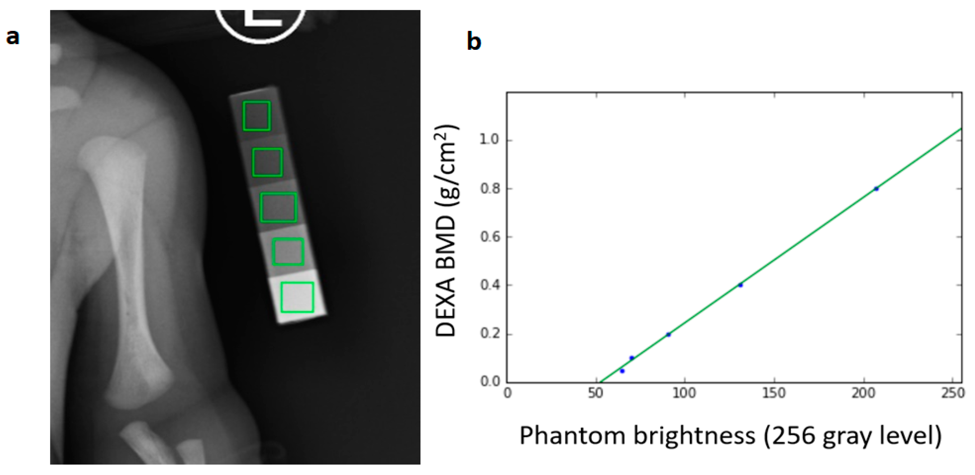 Diagnostics 10 01028 g004 Diagnostics 10 01028 g004