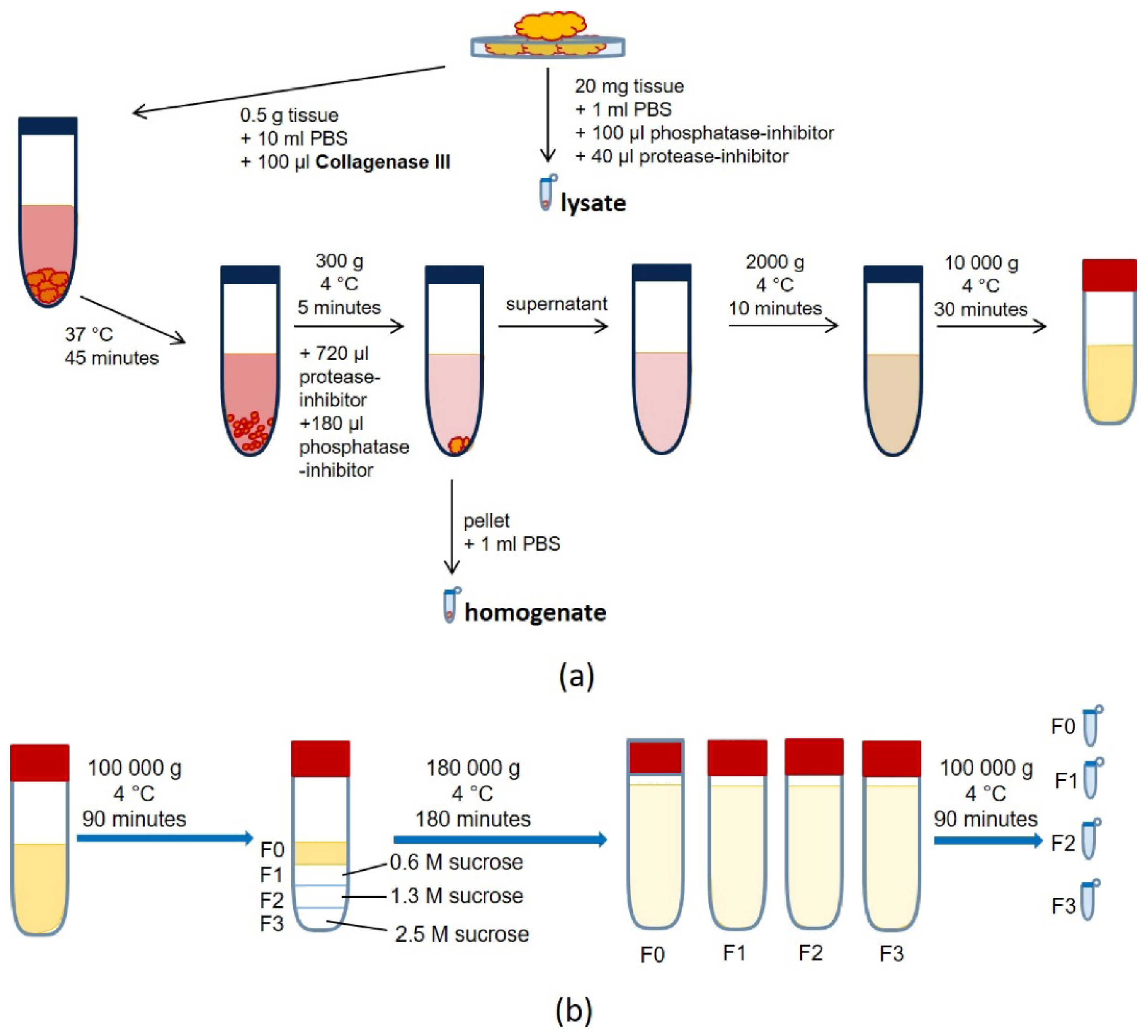 Diagnostics 10 01034 g001 Diagnostics 10 01034 g001
