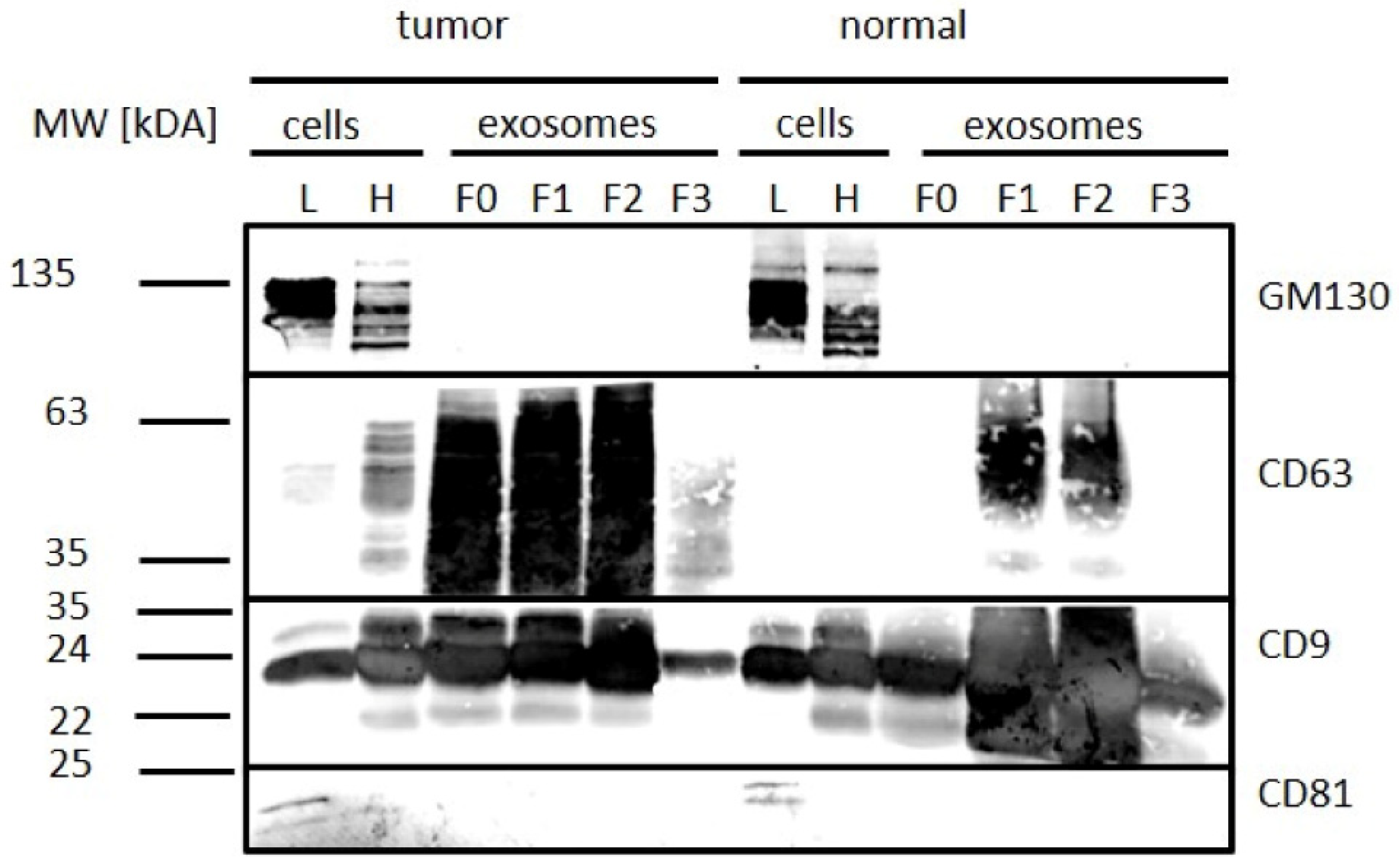 Diagnostics 10 01034 g007 Diagnostics 10 01034 g007