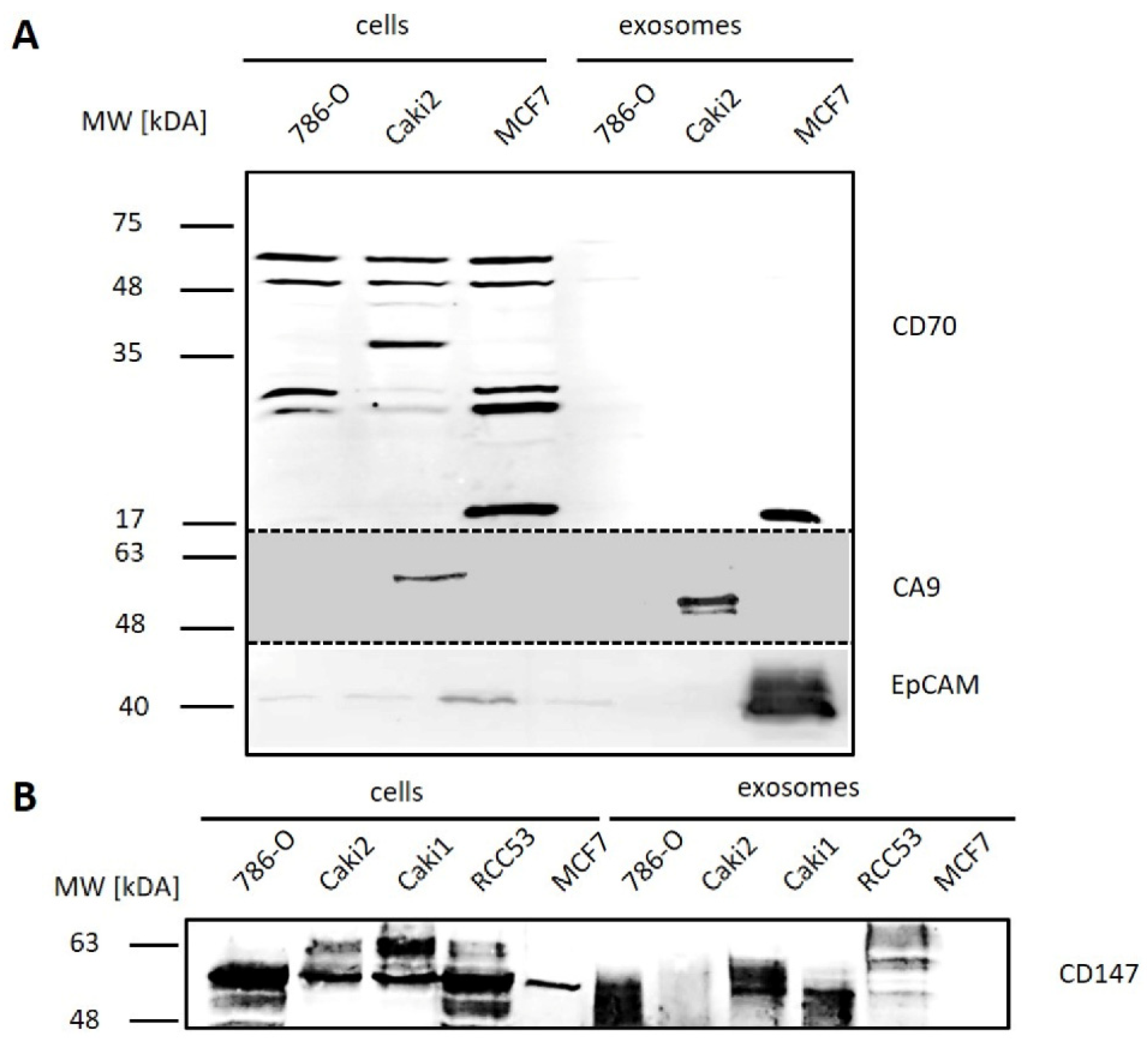 Diagnostics 10 01034 g008 Diagnostics 10 01034 g008