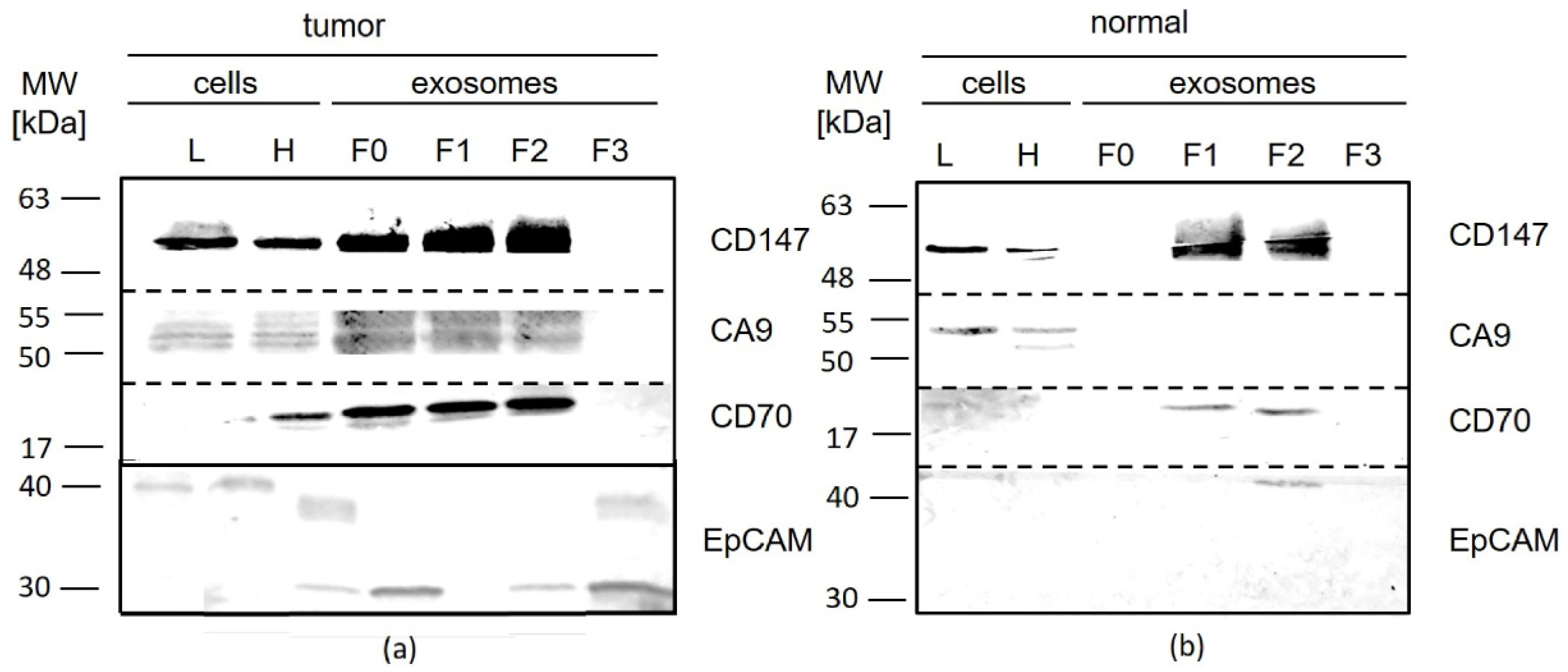 Diagnostics 10 01034 g009 Diagnostics 10 01034 g009