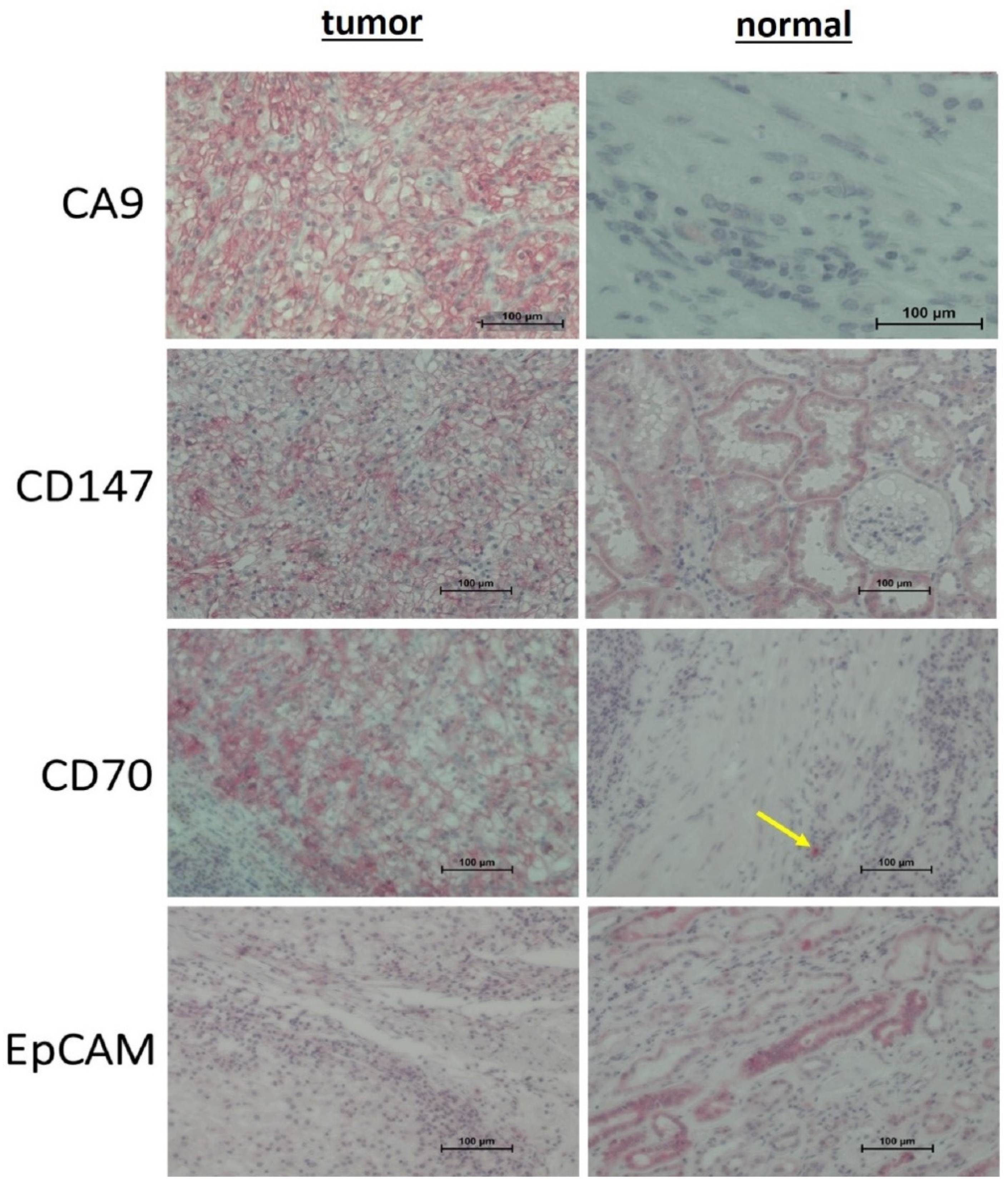 Diagnostics 10 01034 g010 Diagnostics 10 01034 g010