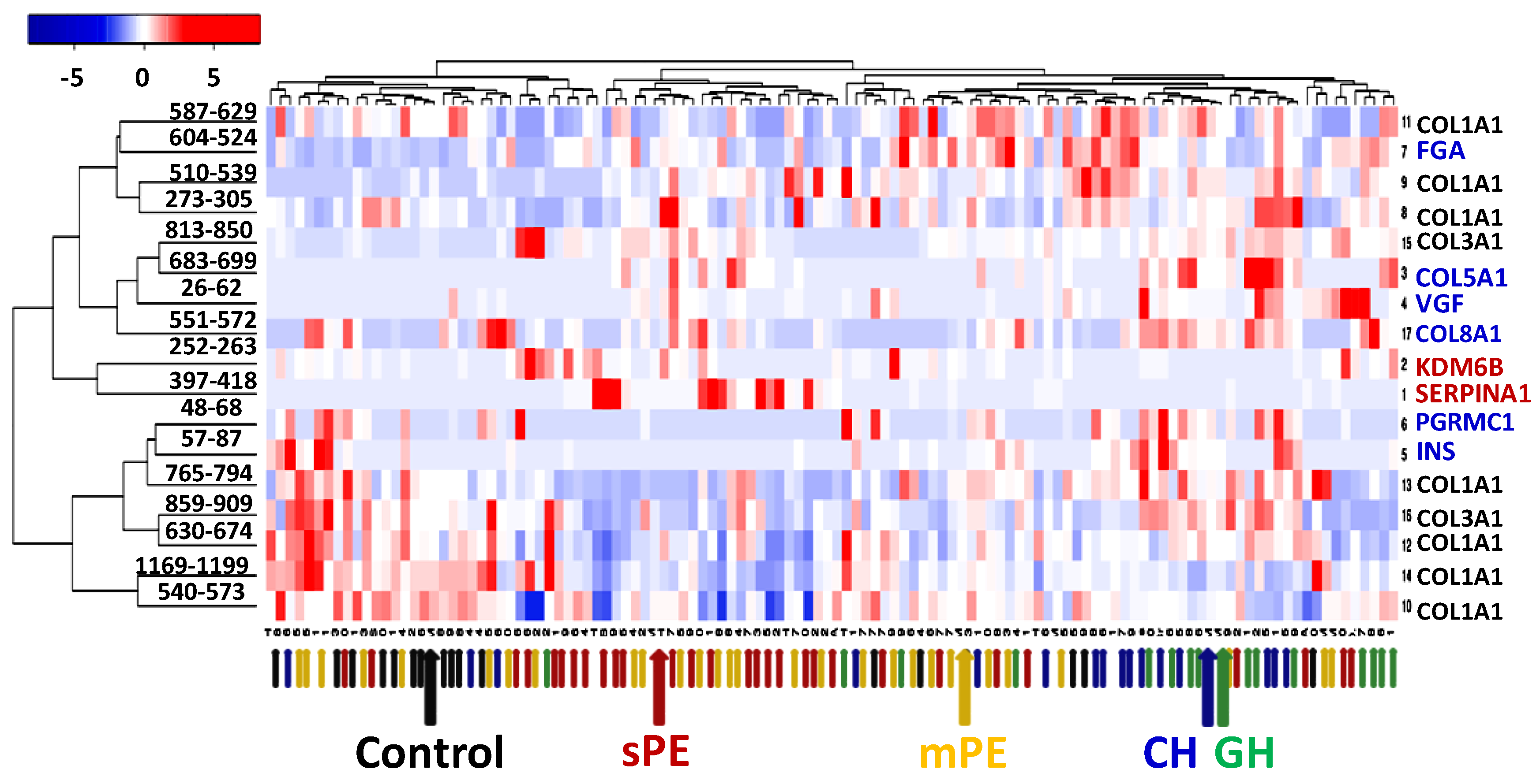 Diagnostics 10 01039 g002