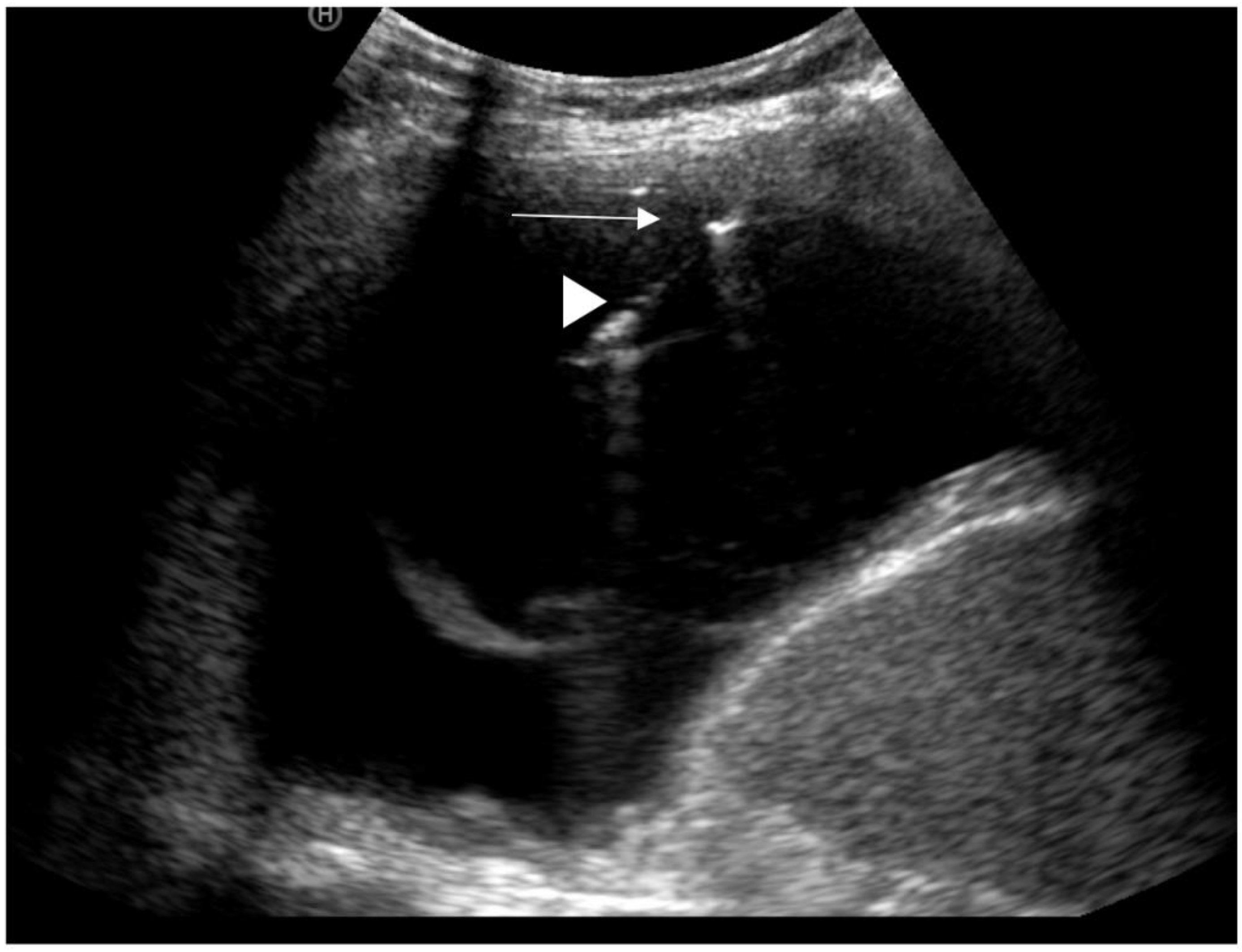 Diagnostics 10 01046 g003 Diagnostics 10 01046 g003