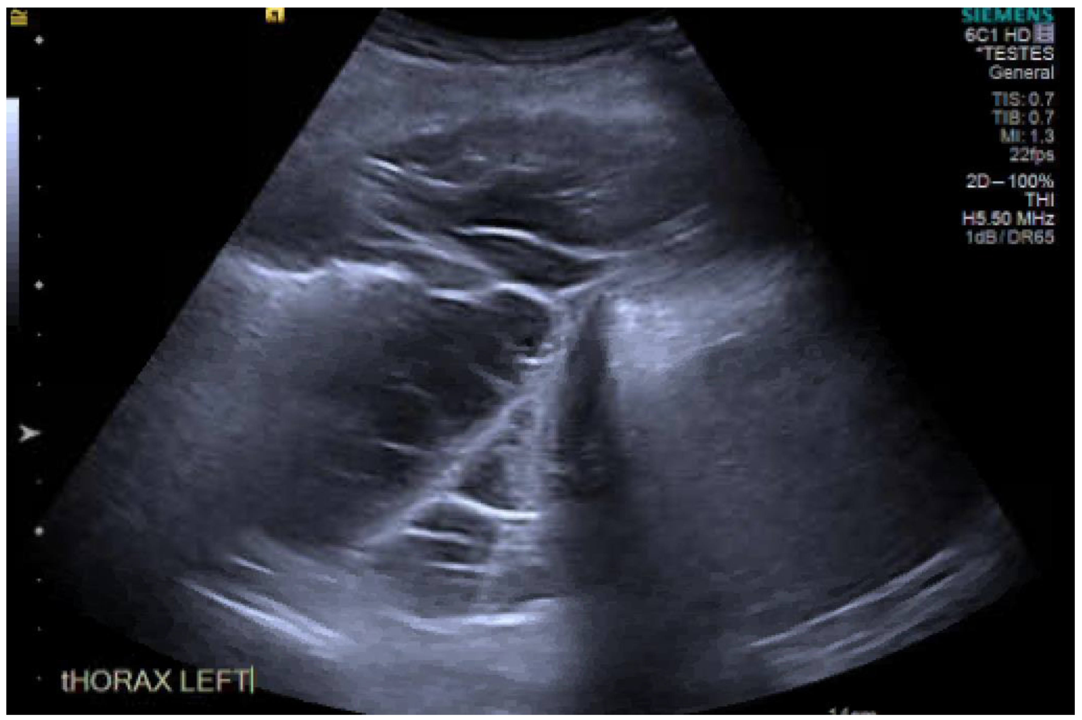 Diagnostics 10 01046 g006 Diagnostics 10 01046 g006