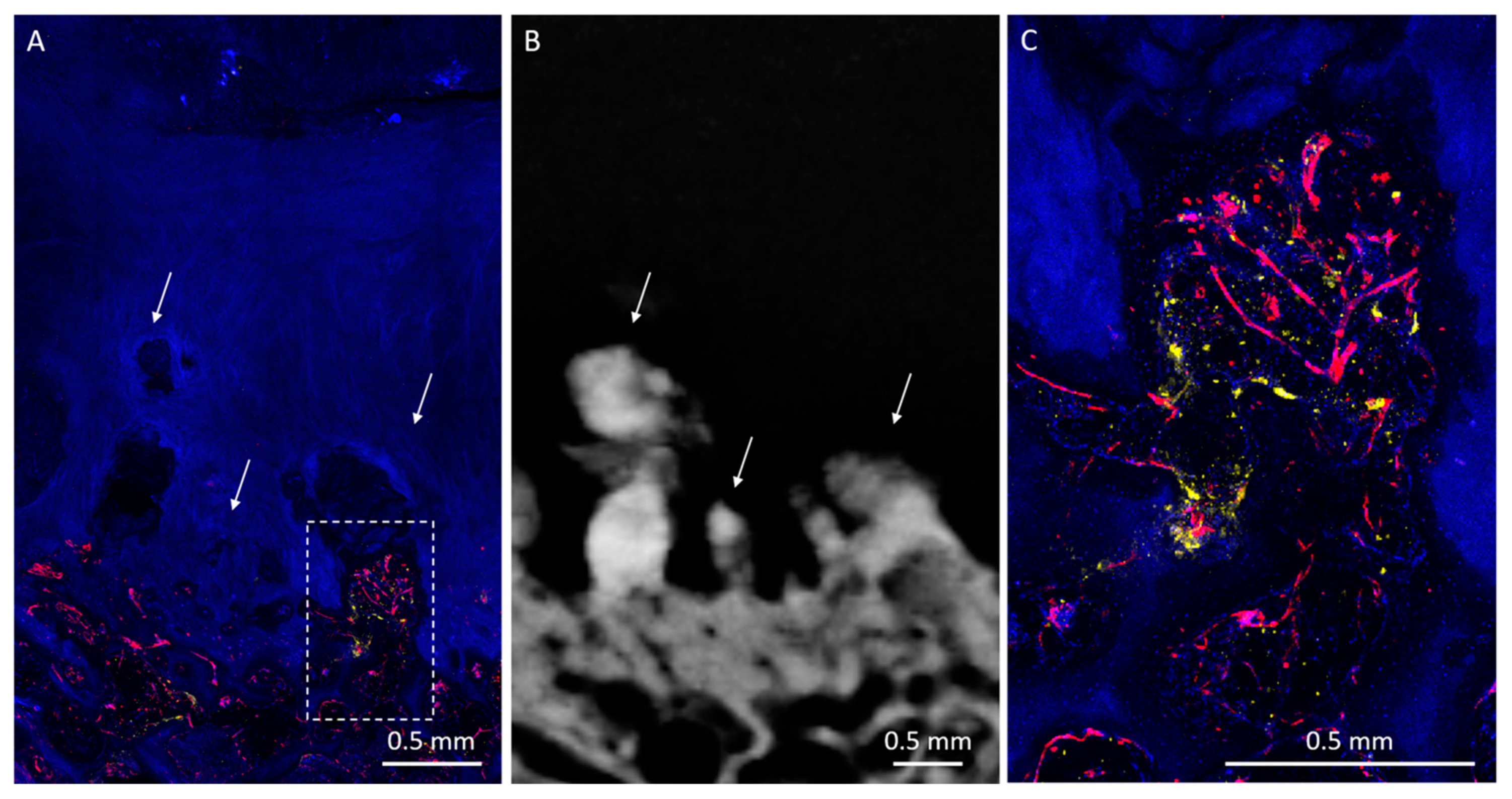 Diagnostics 10 01051 g003