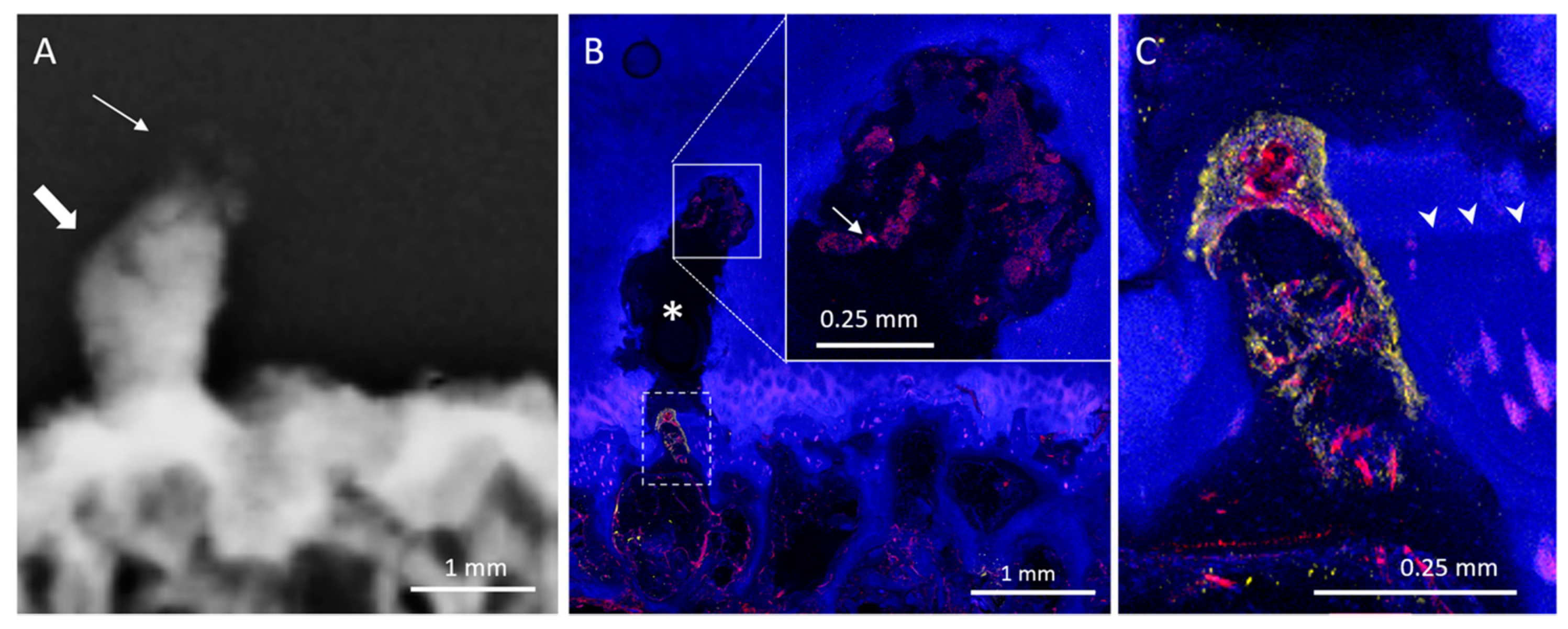 Diagnostics 10 01051 g005