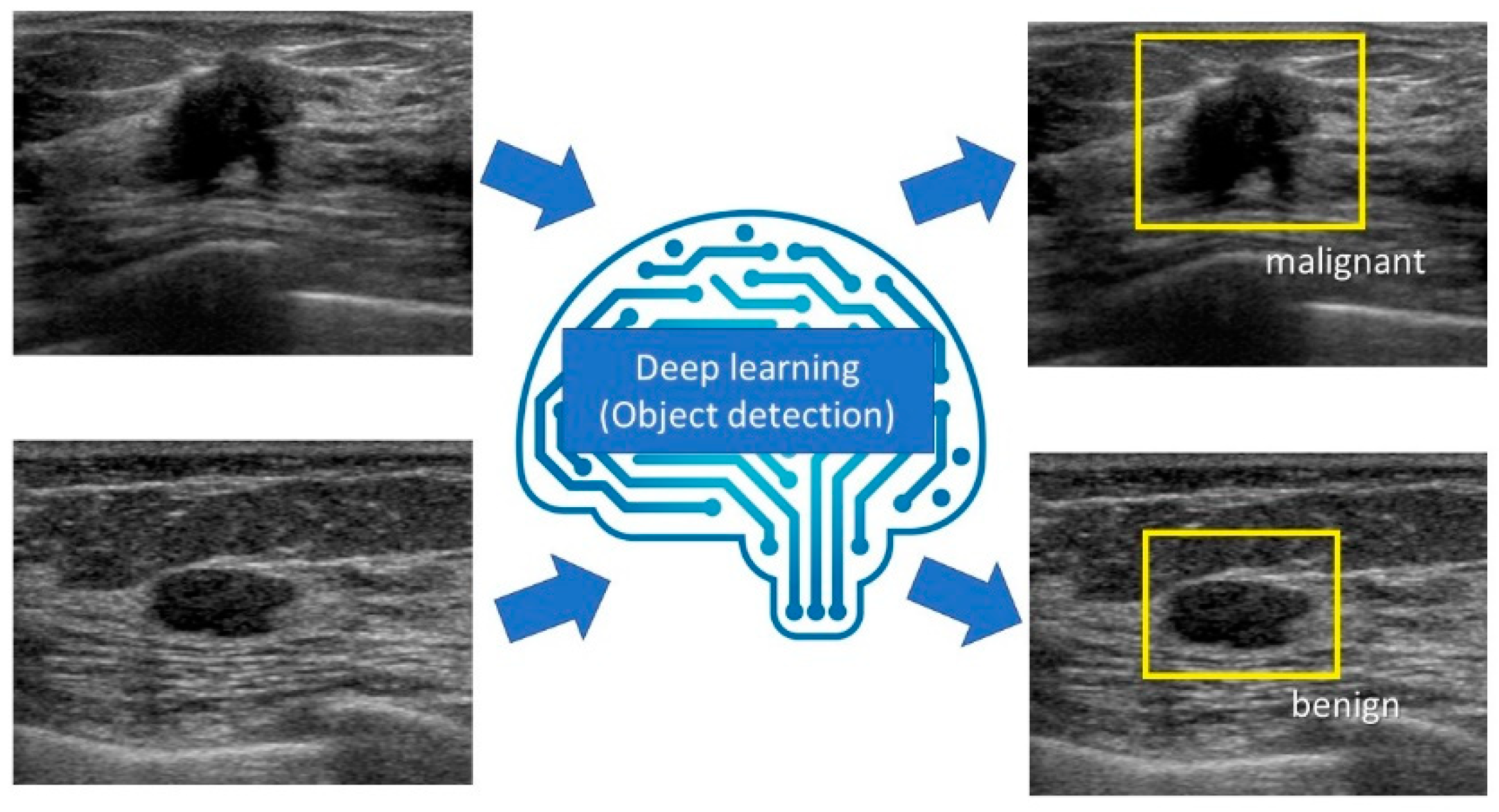 Diagnostics 10 01055 g005