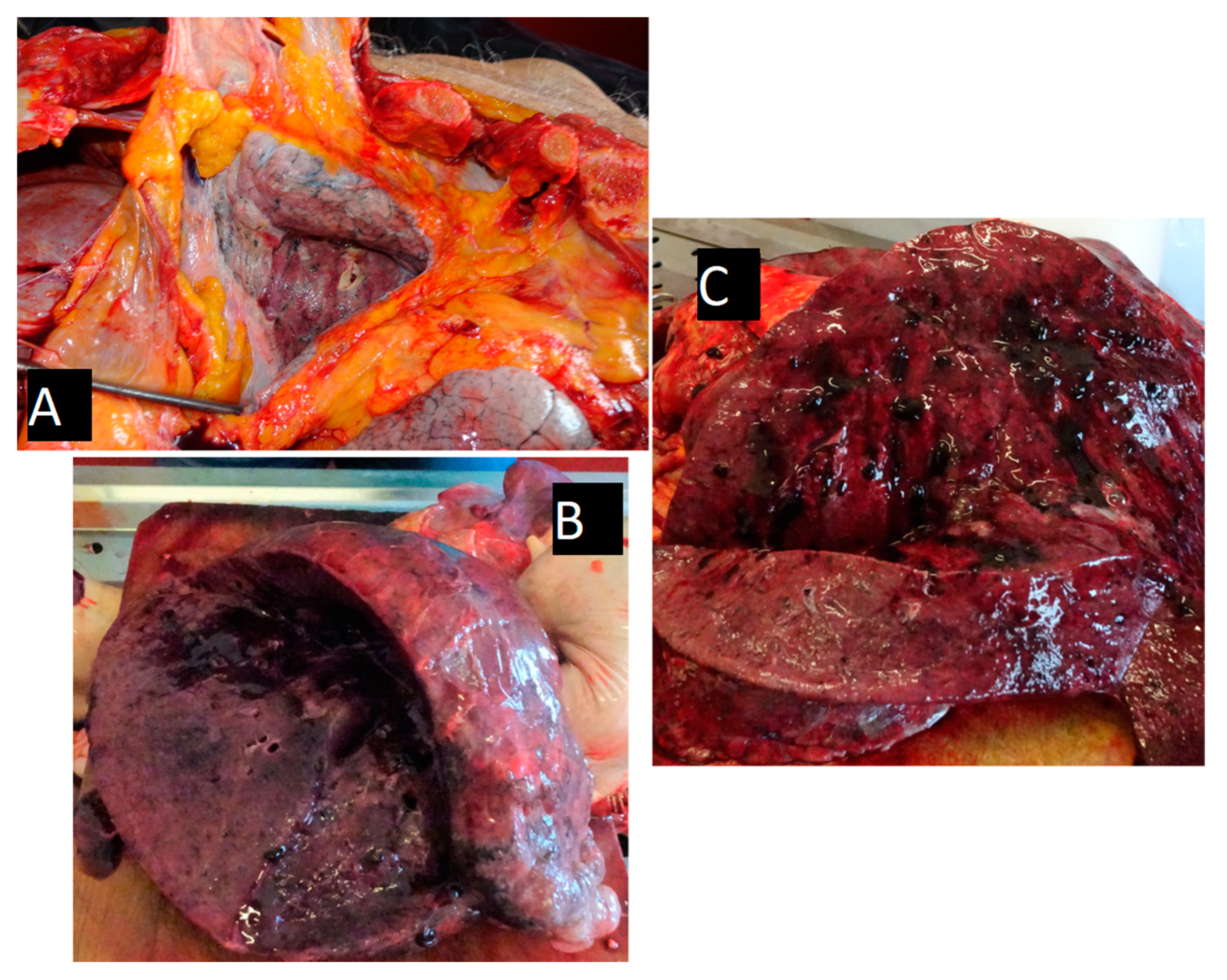 Diagnostics 10 01070 g008