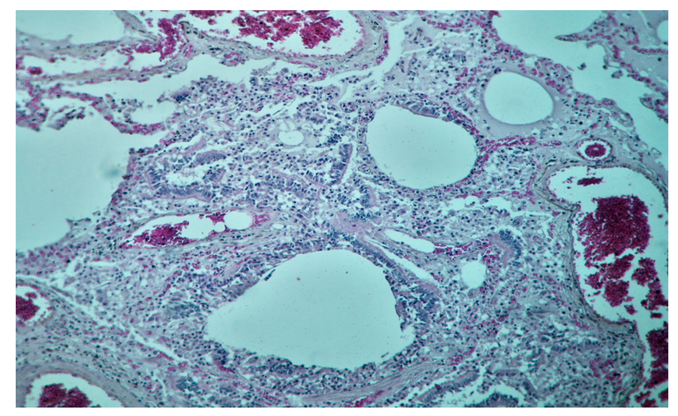 Diagnostics 10 01070 g010