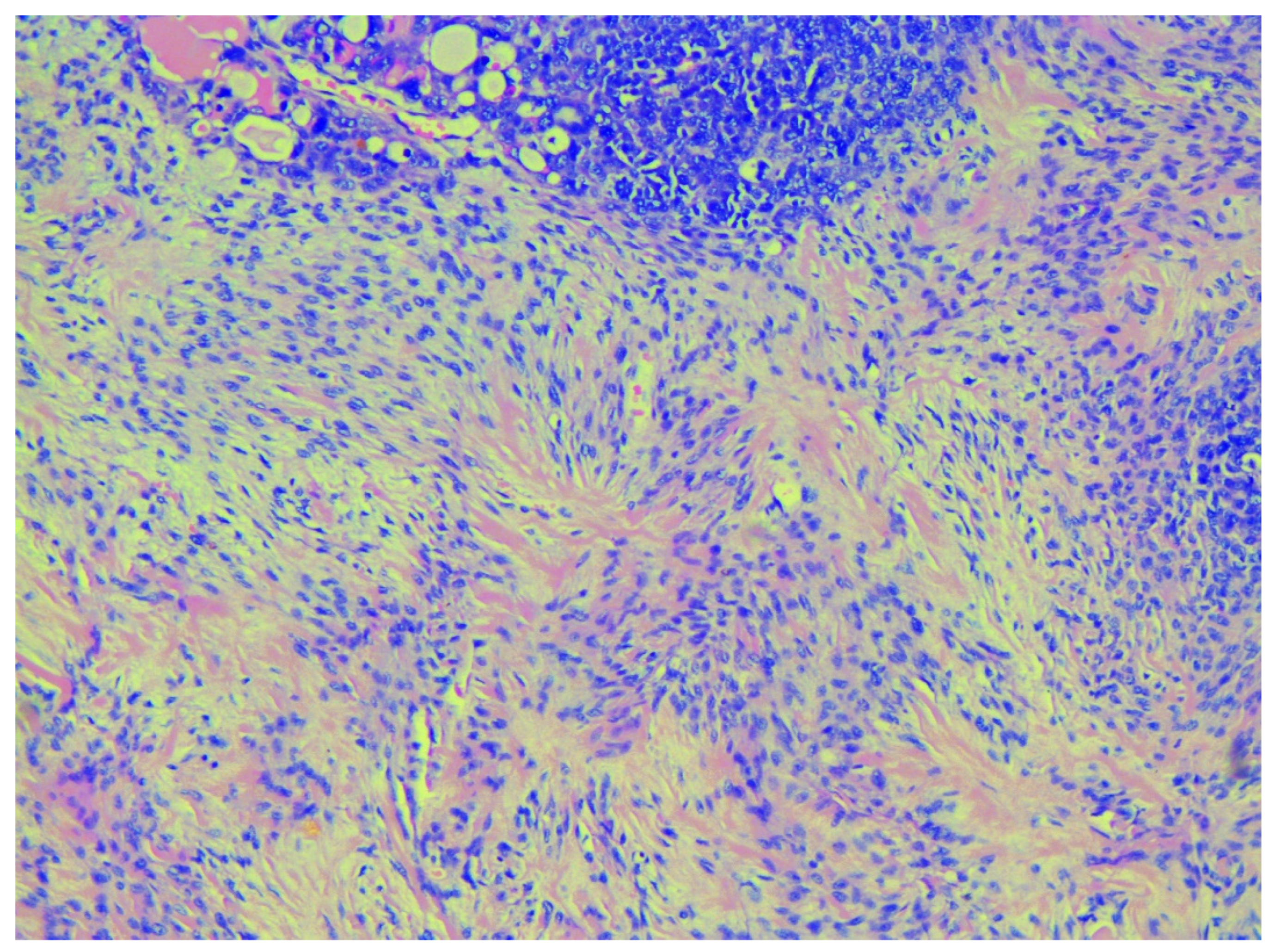 Diagnostics 10 01073 g003 Diagnostics 10 01073 g003