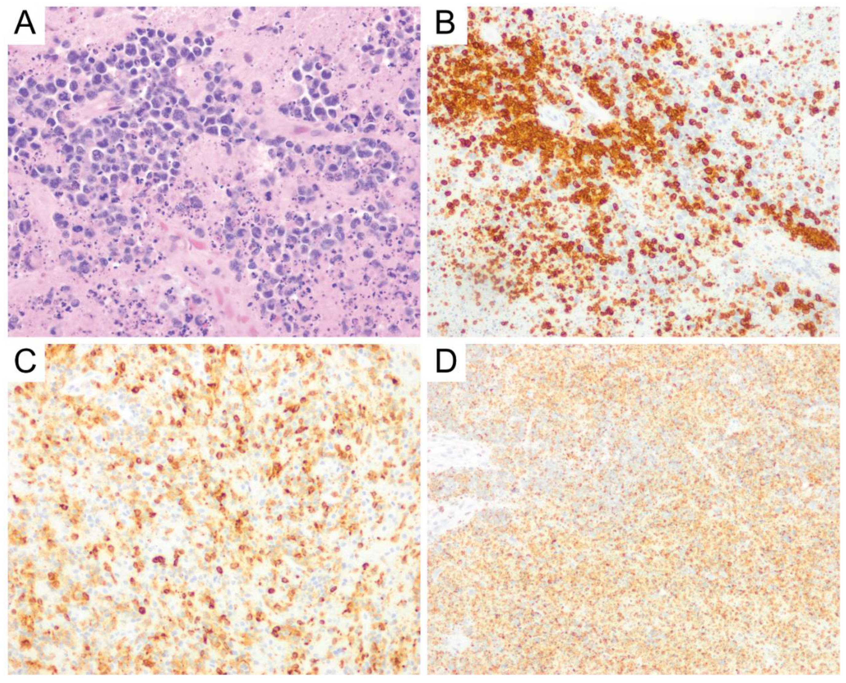 Diagnostics 10 01076 g008 Diagnostics 10 01076 g008