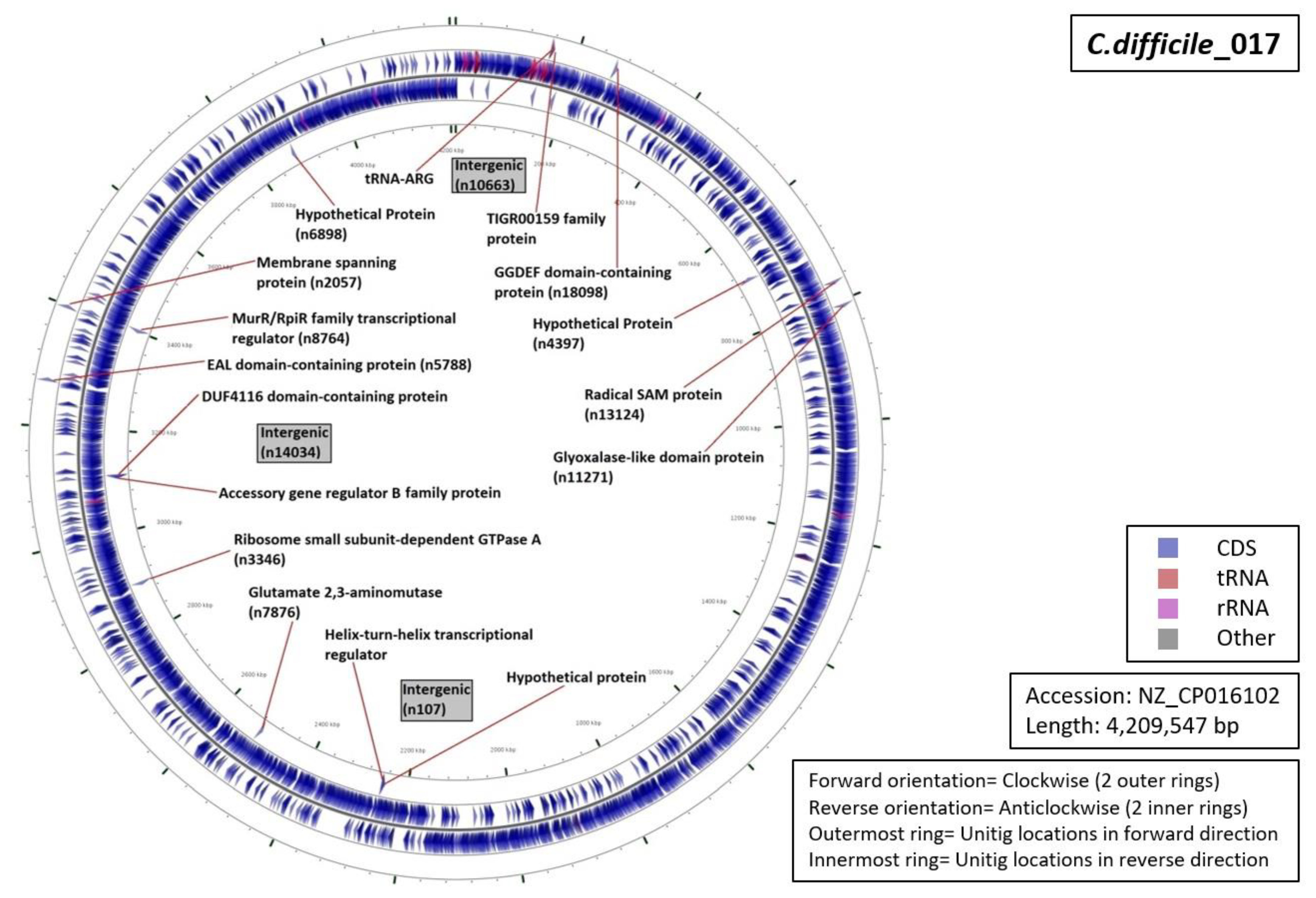 Diagnostics 10 01078 g006 Diagnostics 10 01078 g006
