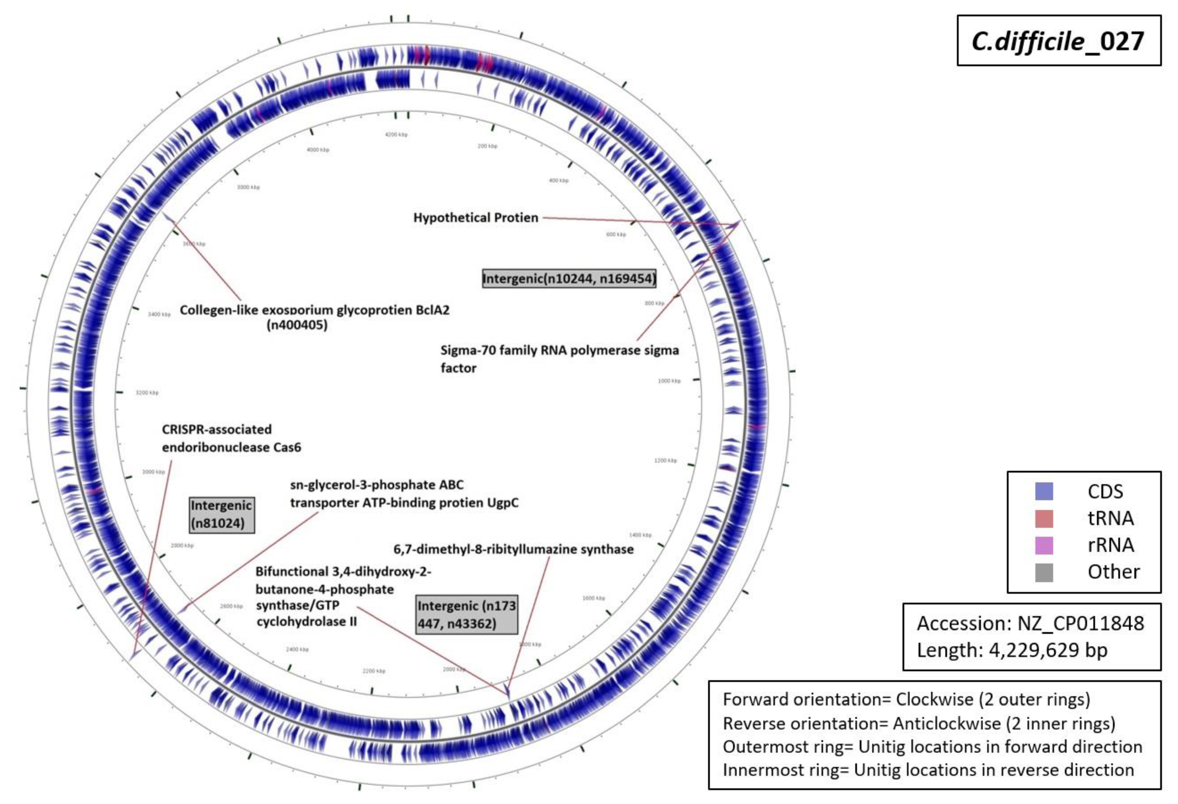 Diagnostics 10 01078 g007 Diagnostics 10 01078 g007