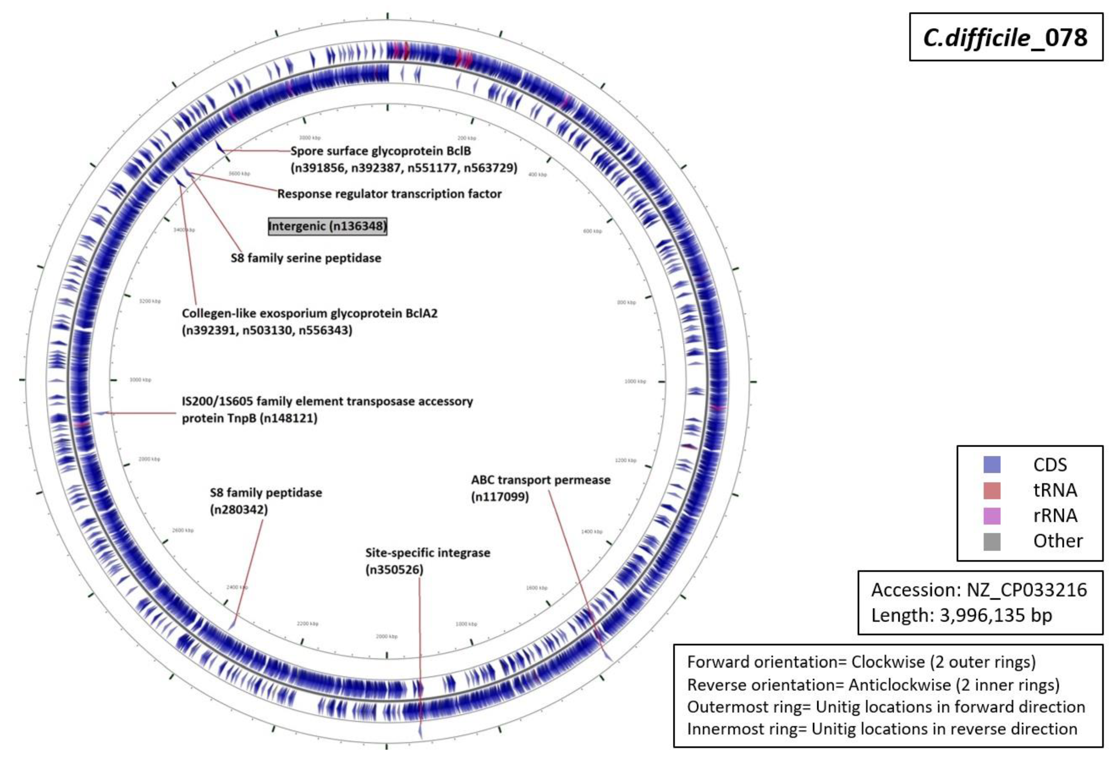 Diagnostics 10 01078 g008 Diagnostics 10 01078 g008
