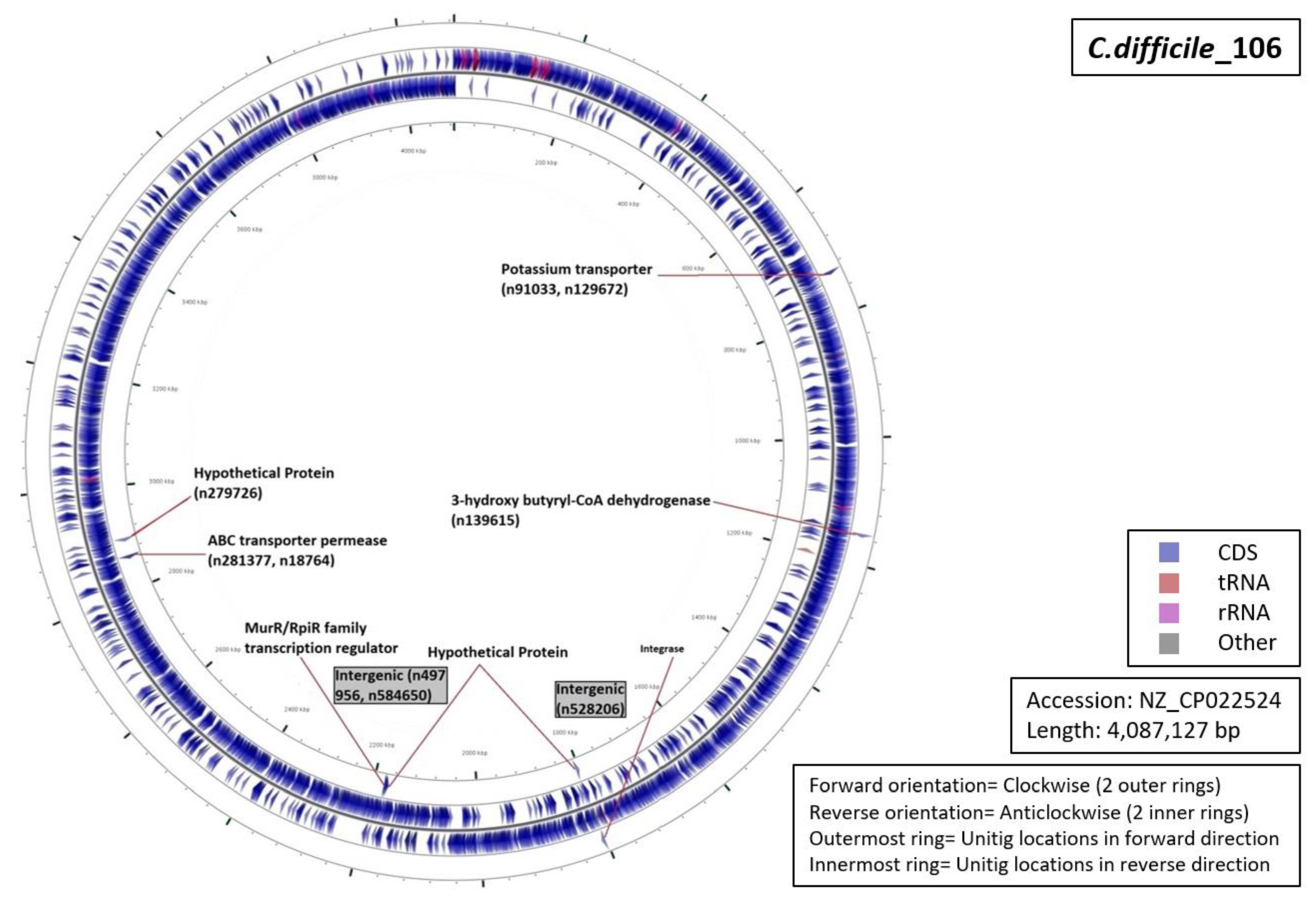 Diagnostics 10 01078 g009 Diagnostics 10 01078 g009