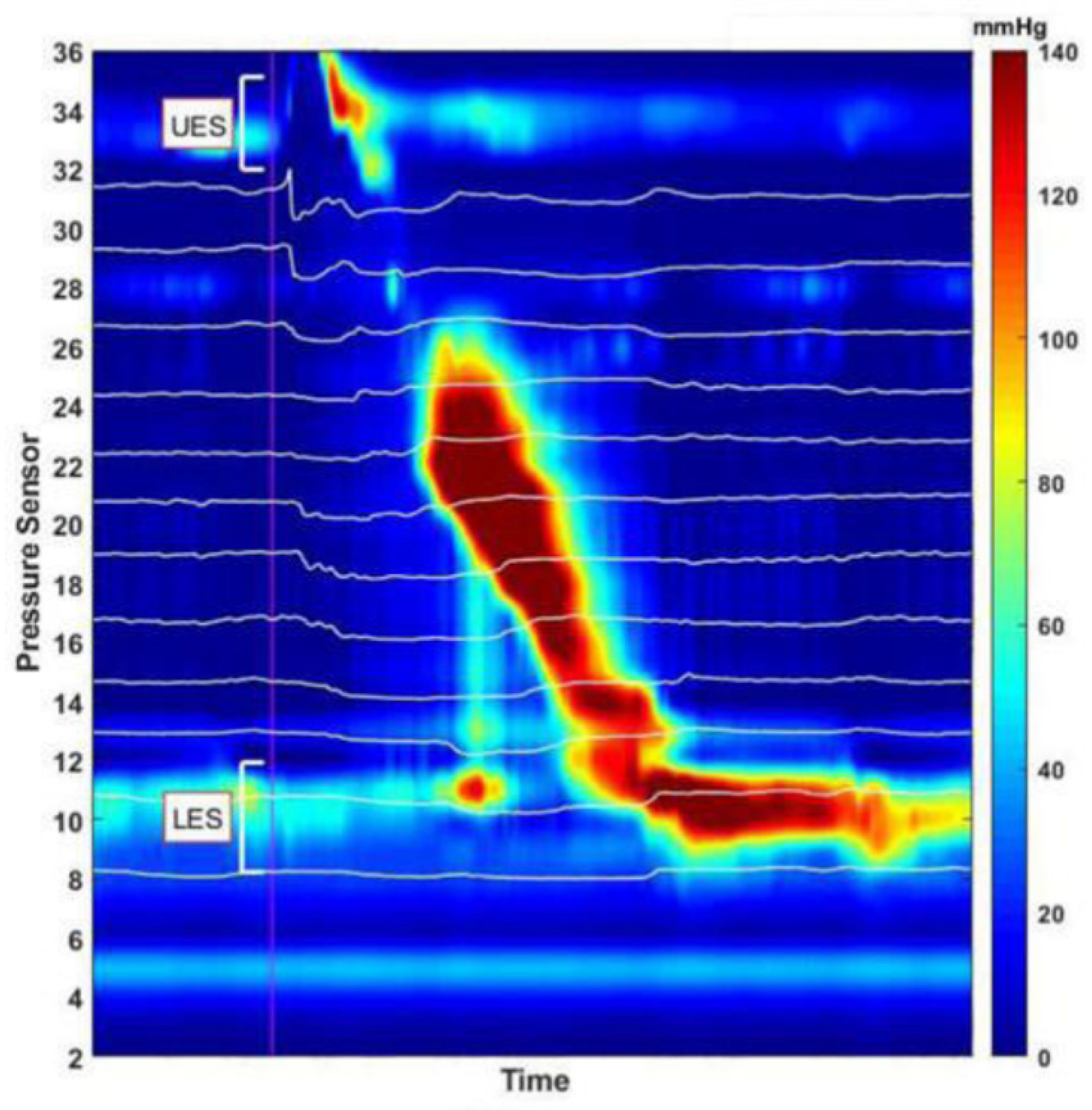 Diagnostics 10 01079 g001 Diagnostics 10 01079 g001