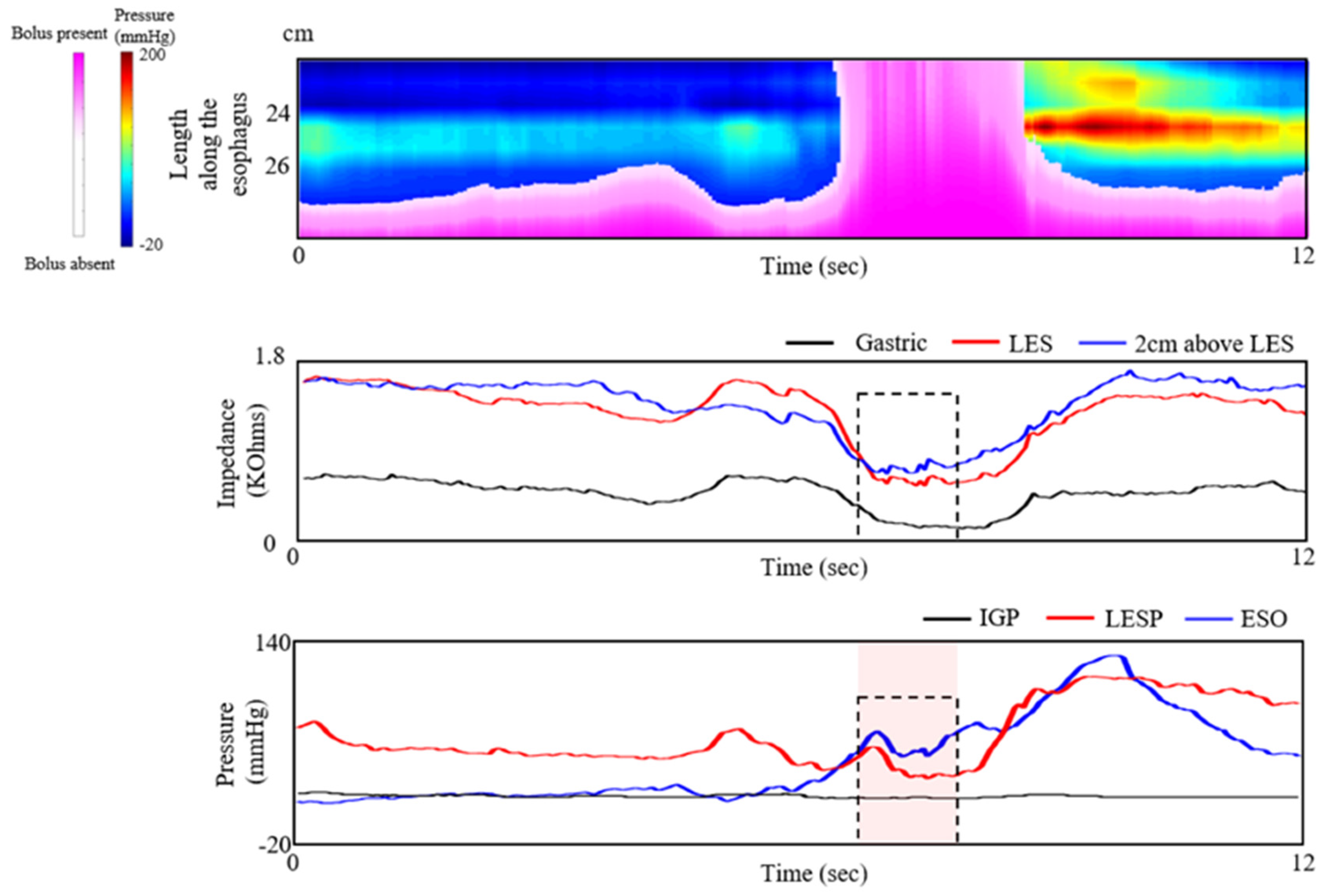 Diagnostics 10 01079 g003 Diagnostics 10 01079 g003