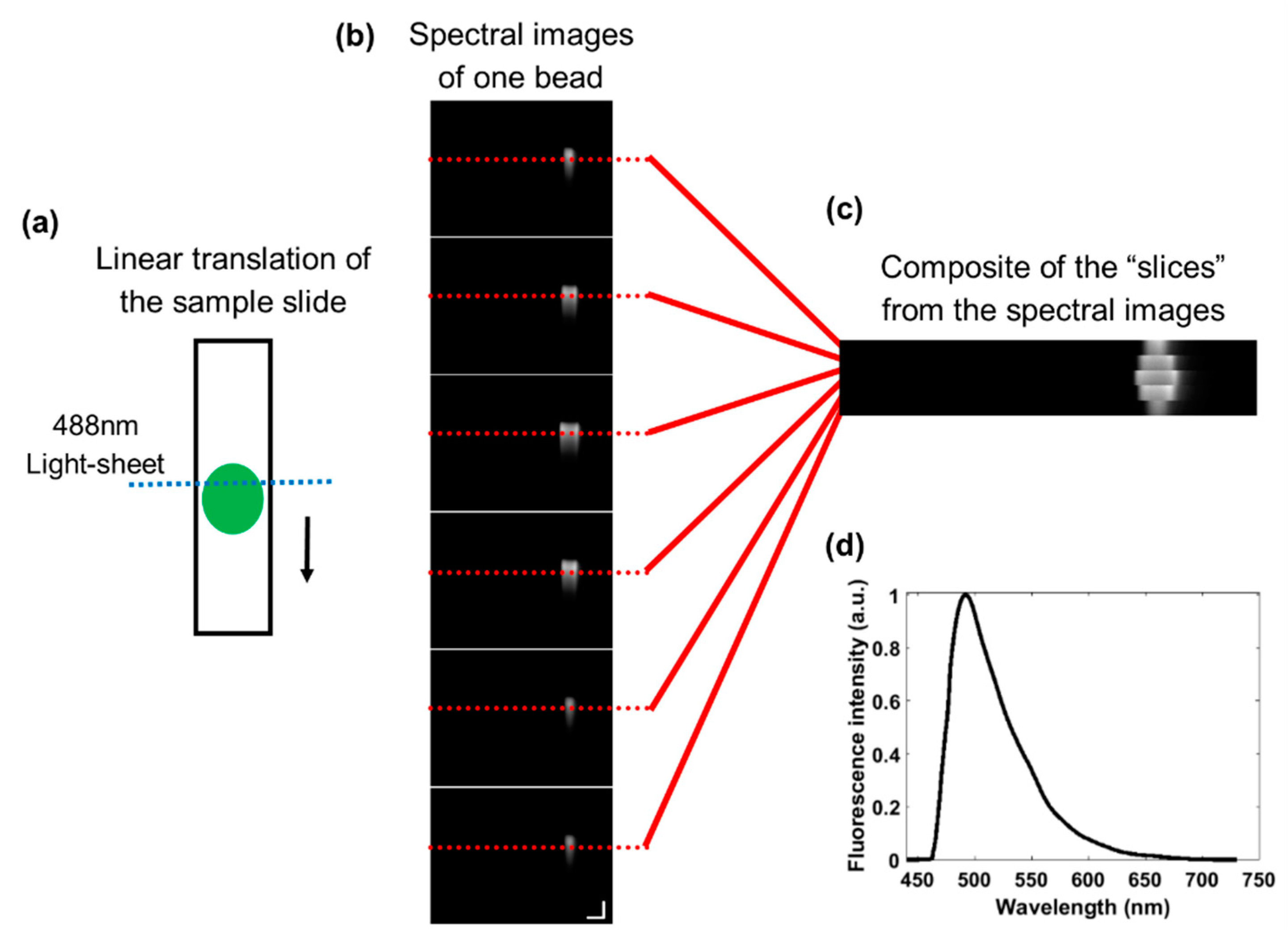 Diagnostics 10 01082 g002