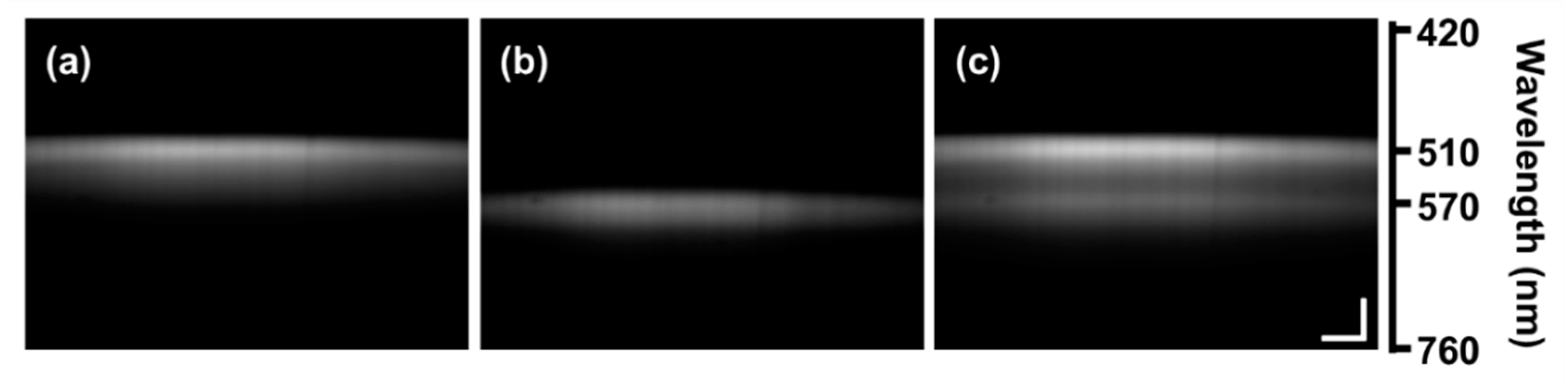 Diagnostics 10 01082 g003