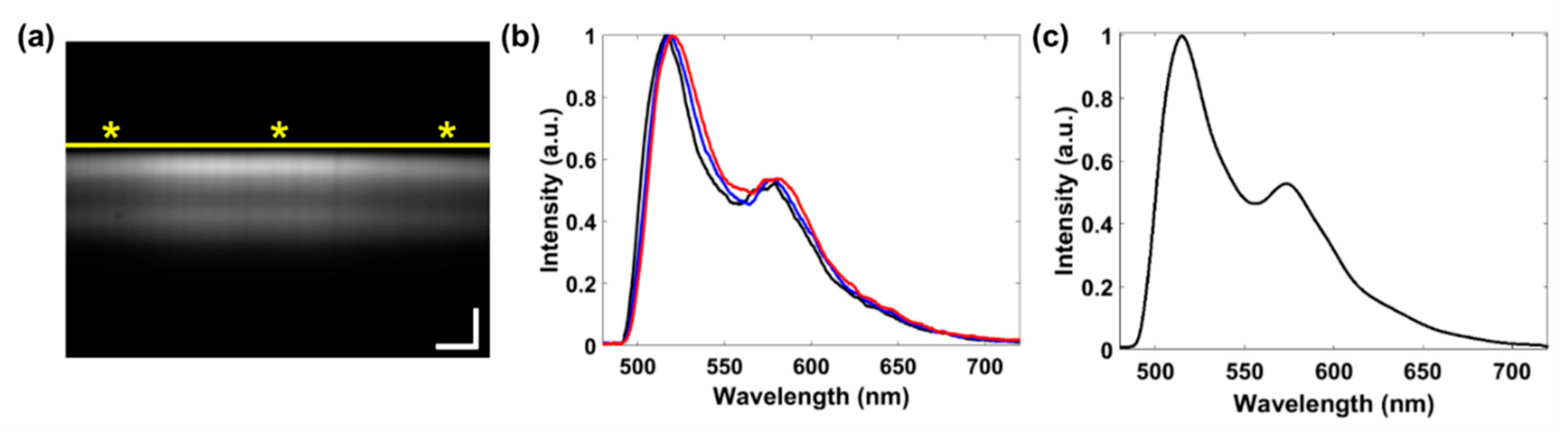 Diagnostics 10 01082 g005