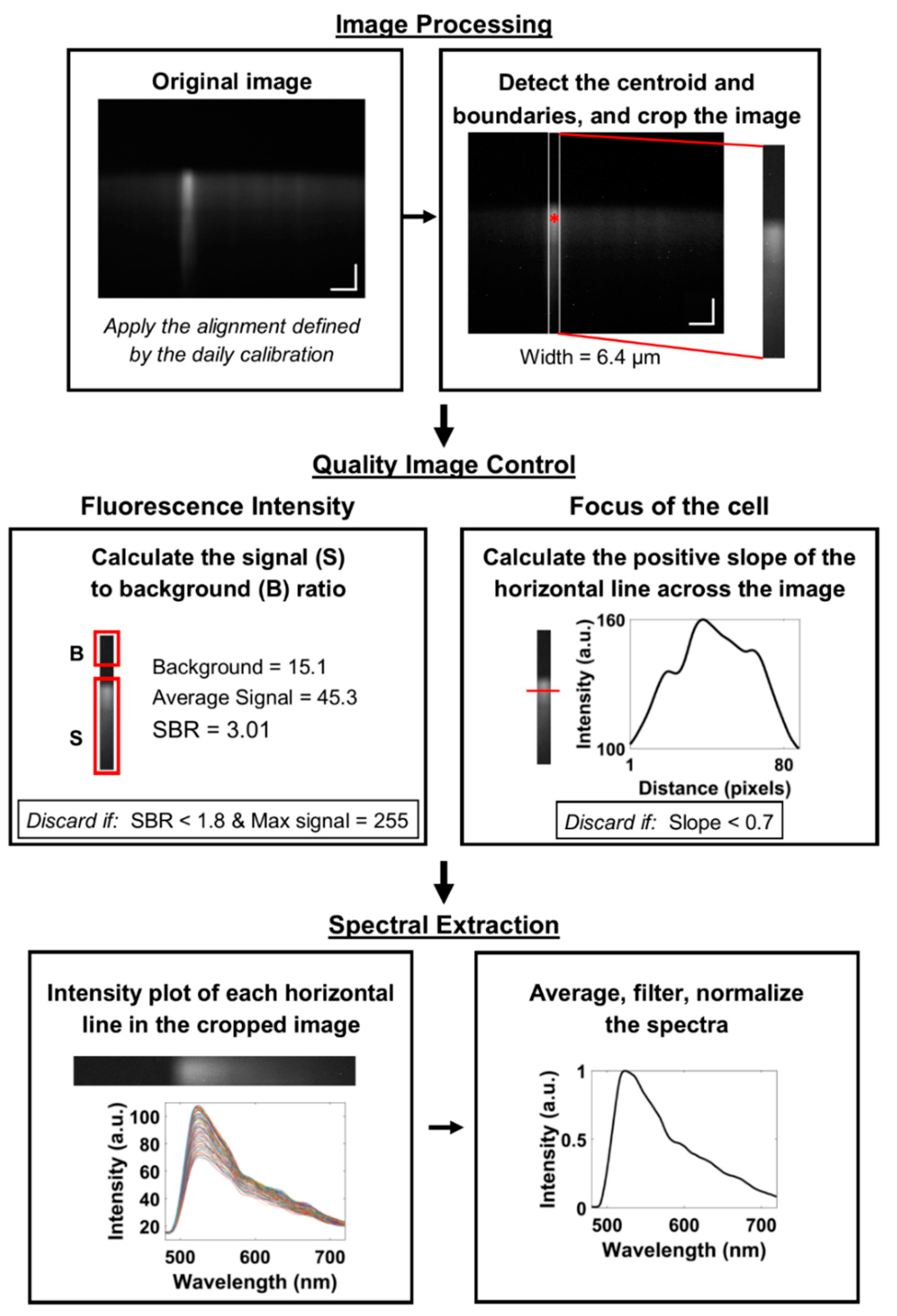 Diagnostics 10 01082 g006