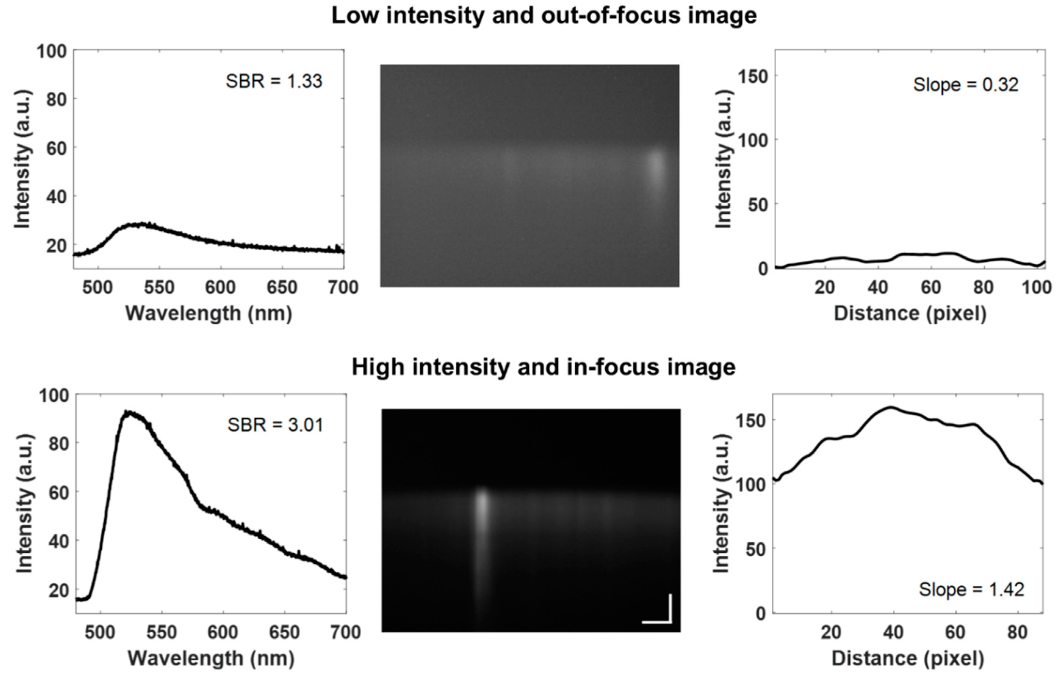 Diagnostics 10 01082 g007