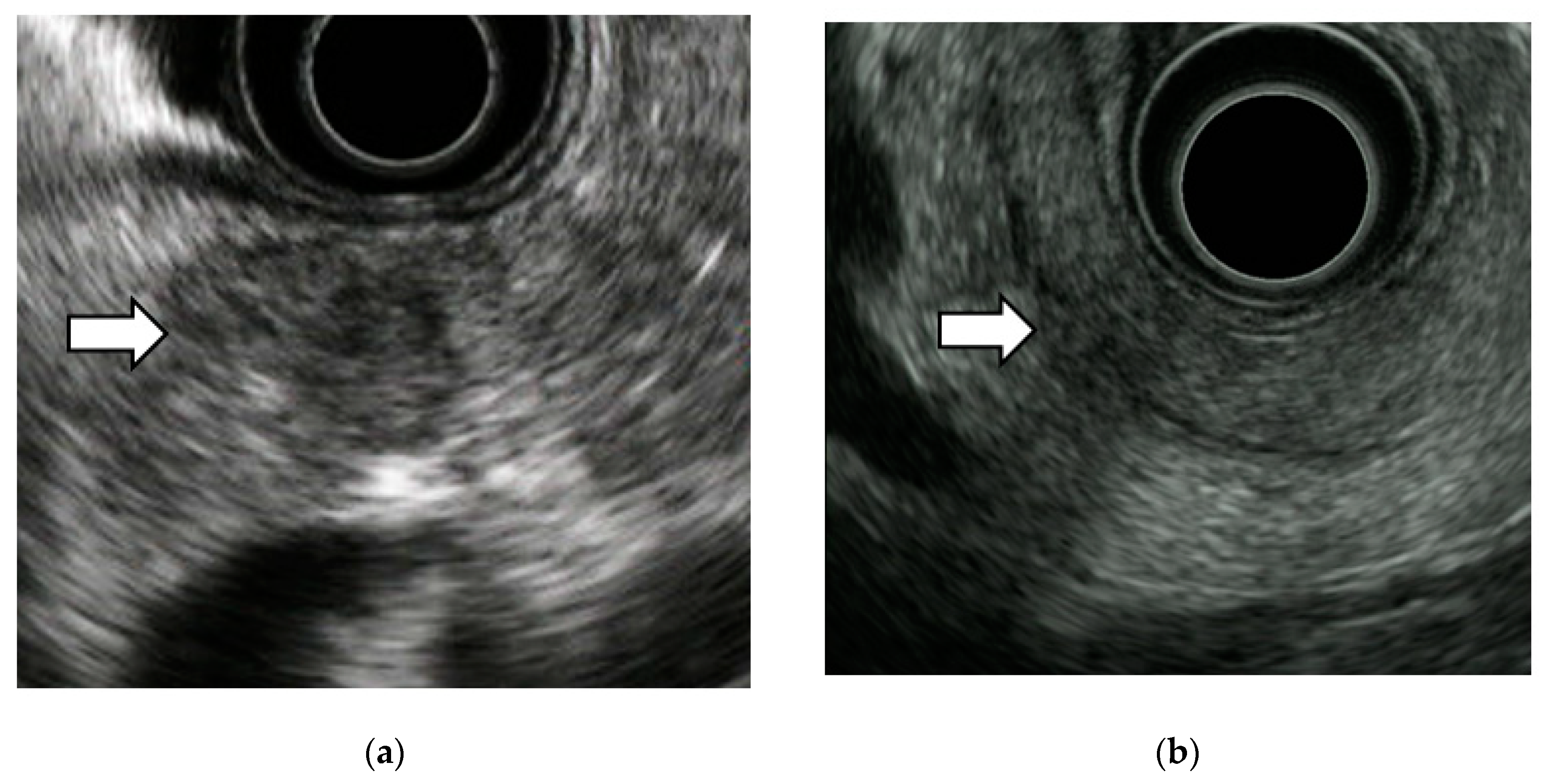 Diagnostics 10 01086 g003 Diagnostics 10 01086 g003
