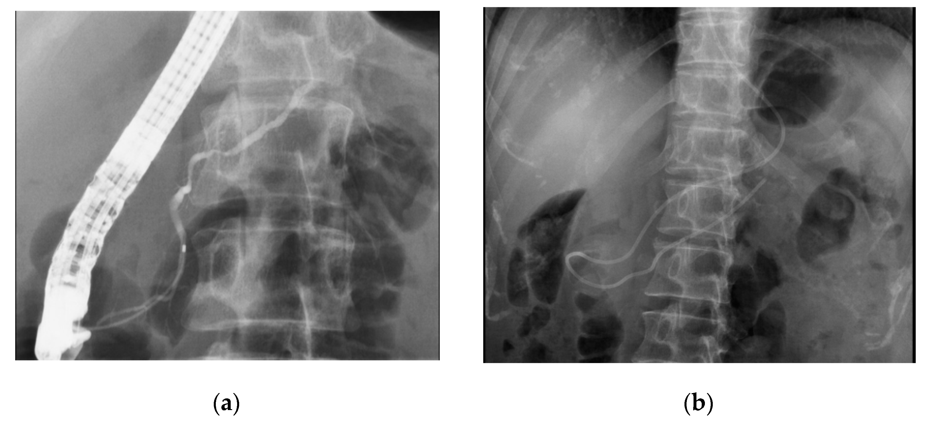 Diagnostics 10 01086 g004 Diagnostics 10 01086 g004