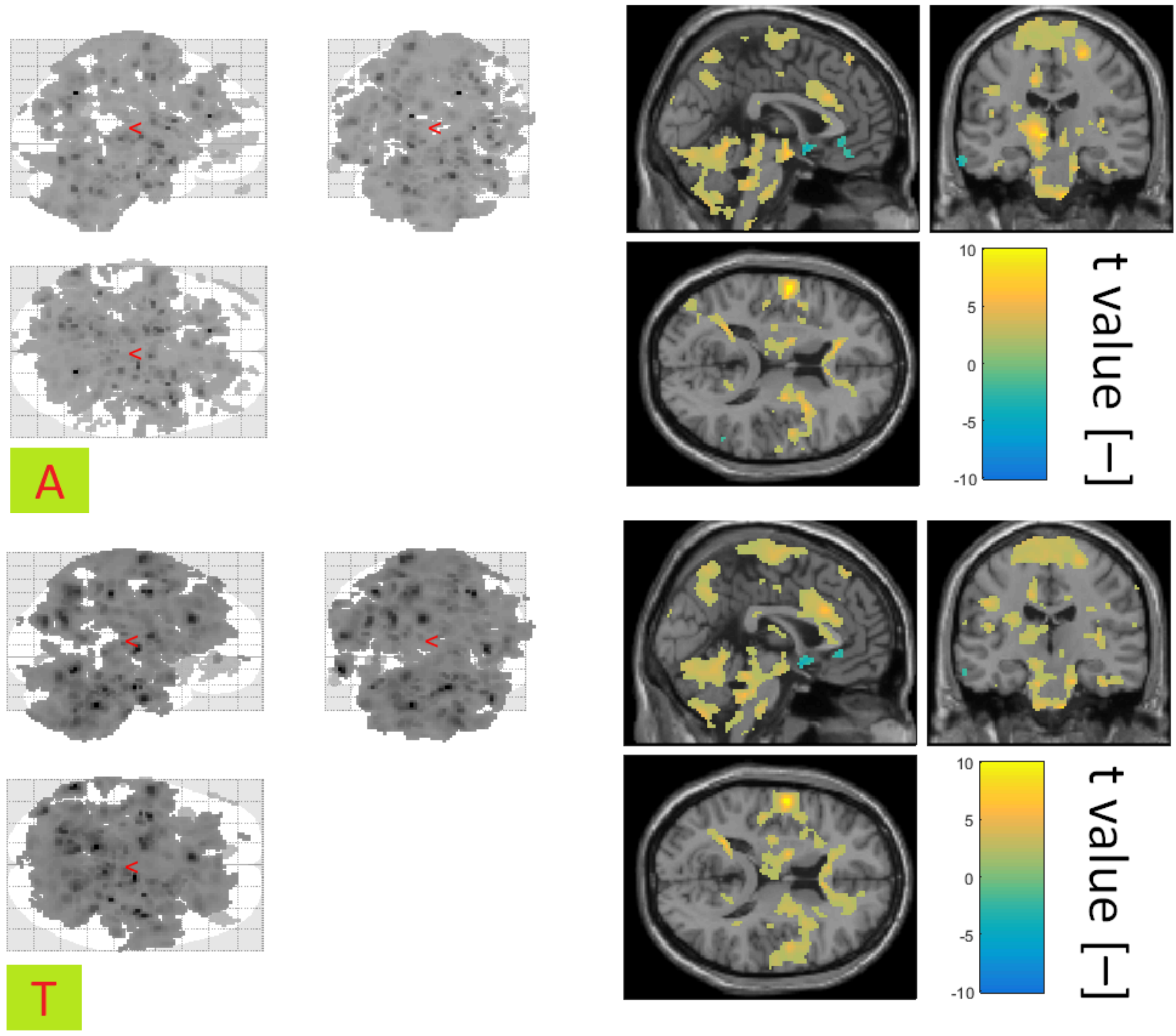 Diagnostics 10 01087 g008