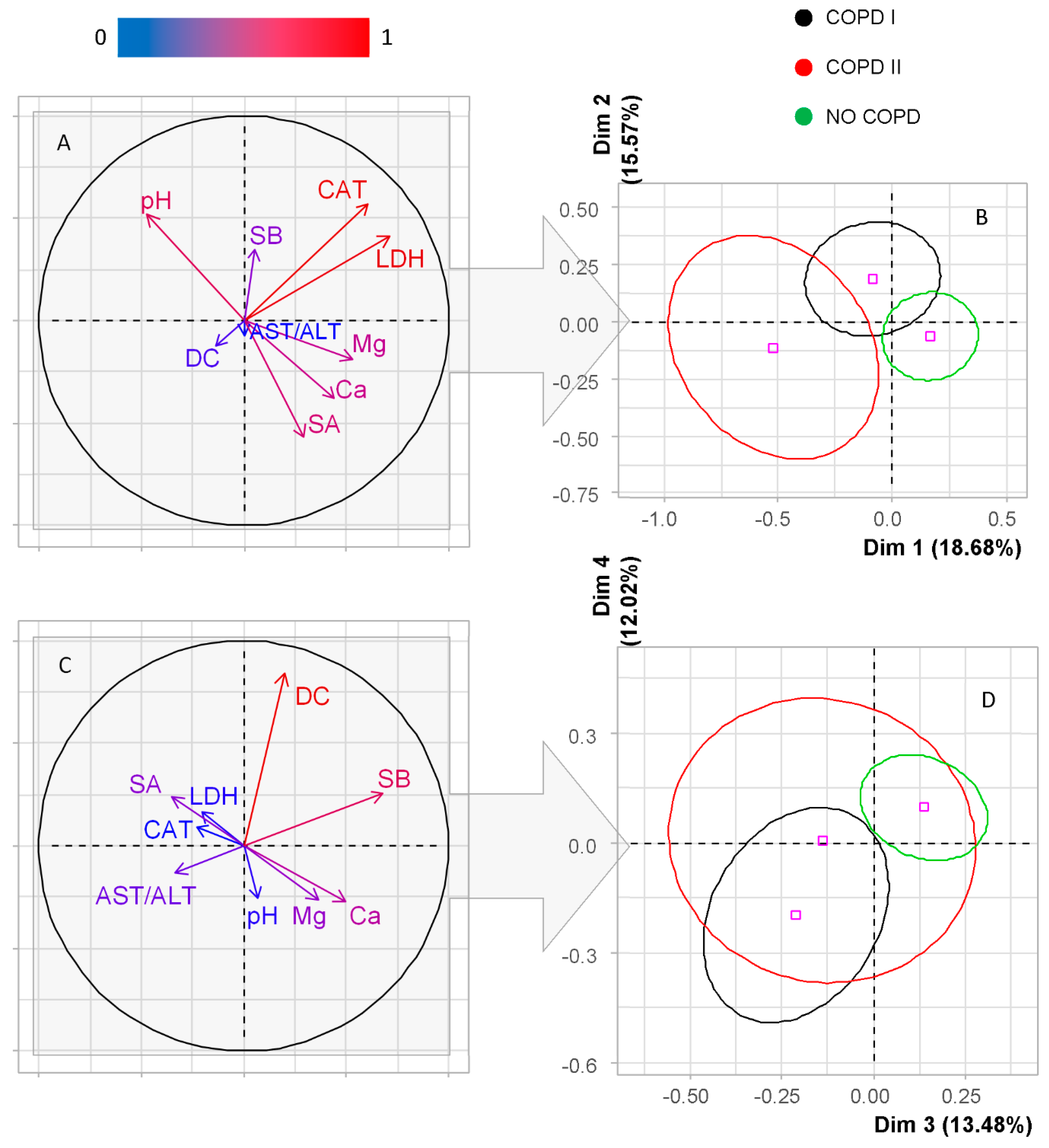 Diagnostics 10 01095 g001a Diagnostics 10 01095 g001a