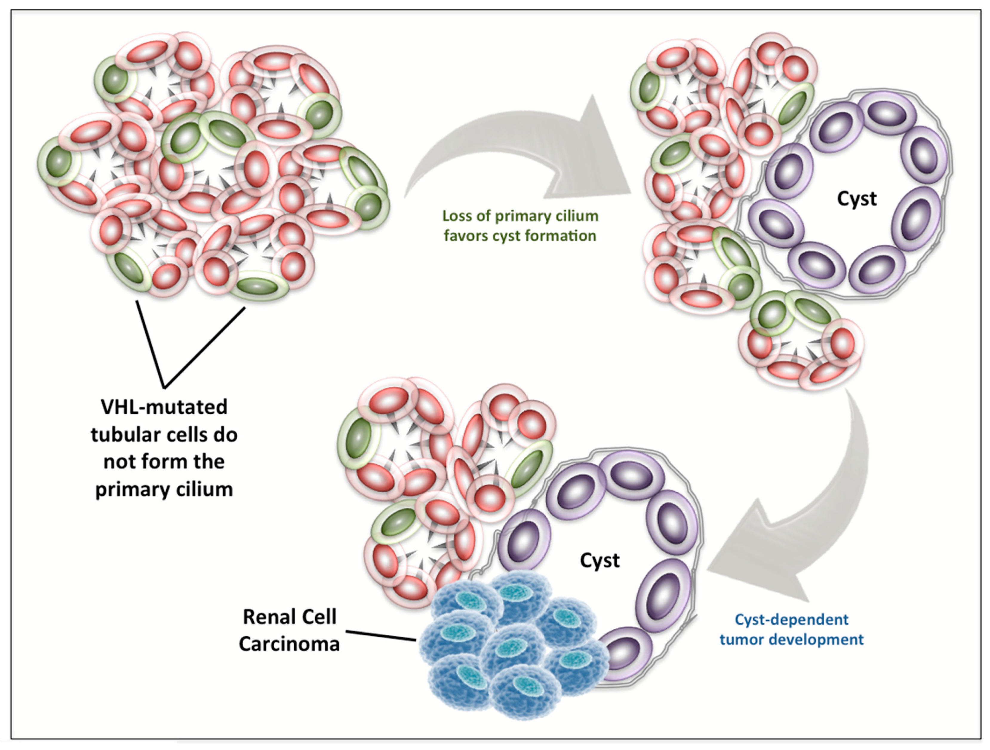 Diagnostics 10 01099 g003 Diagnostics 10 01099 g003