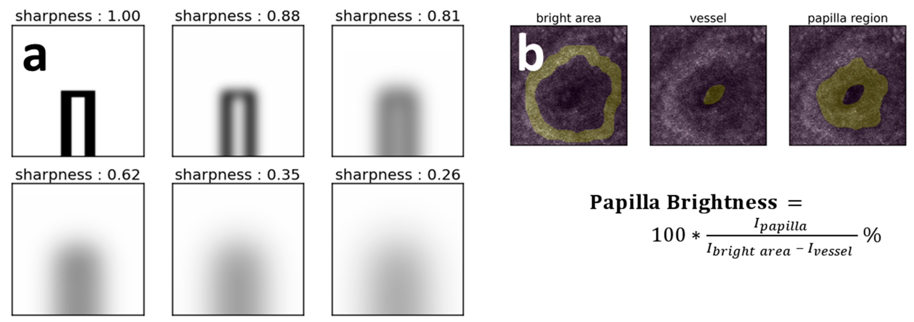 Diagnostics 10 01107 g001 Diagnostics 10 01107 g001