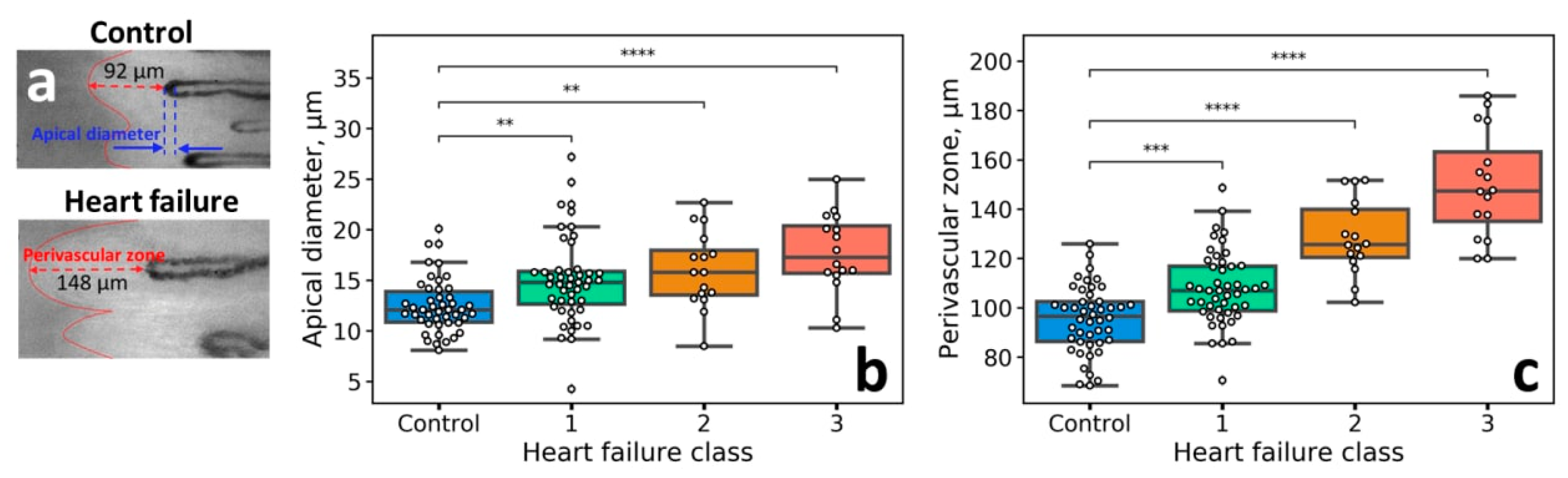 Diagnostics 10 01107 g003 Diagnostics 10 01107 g003