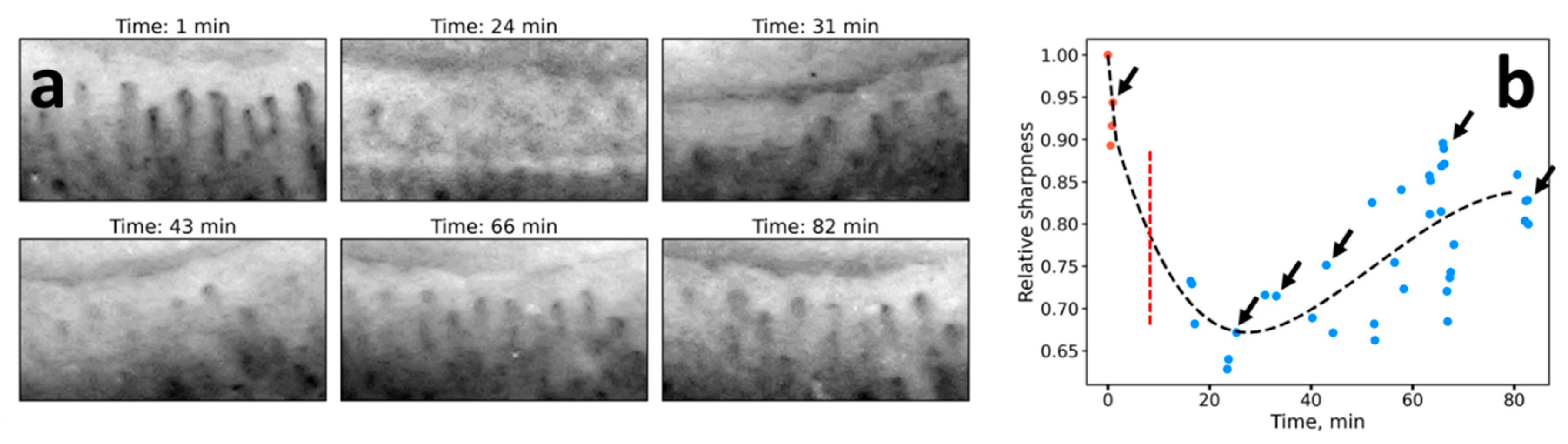 Diagnostics 10 01107 g006 Diagnostics 10 01107 g006