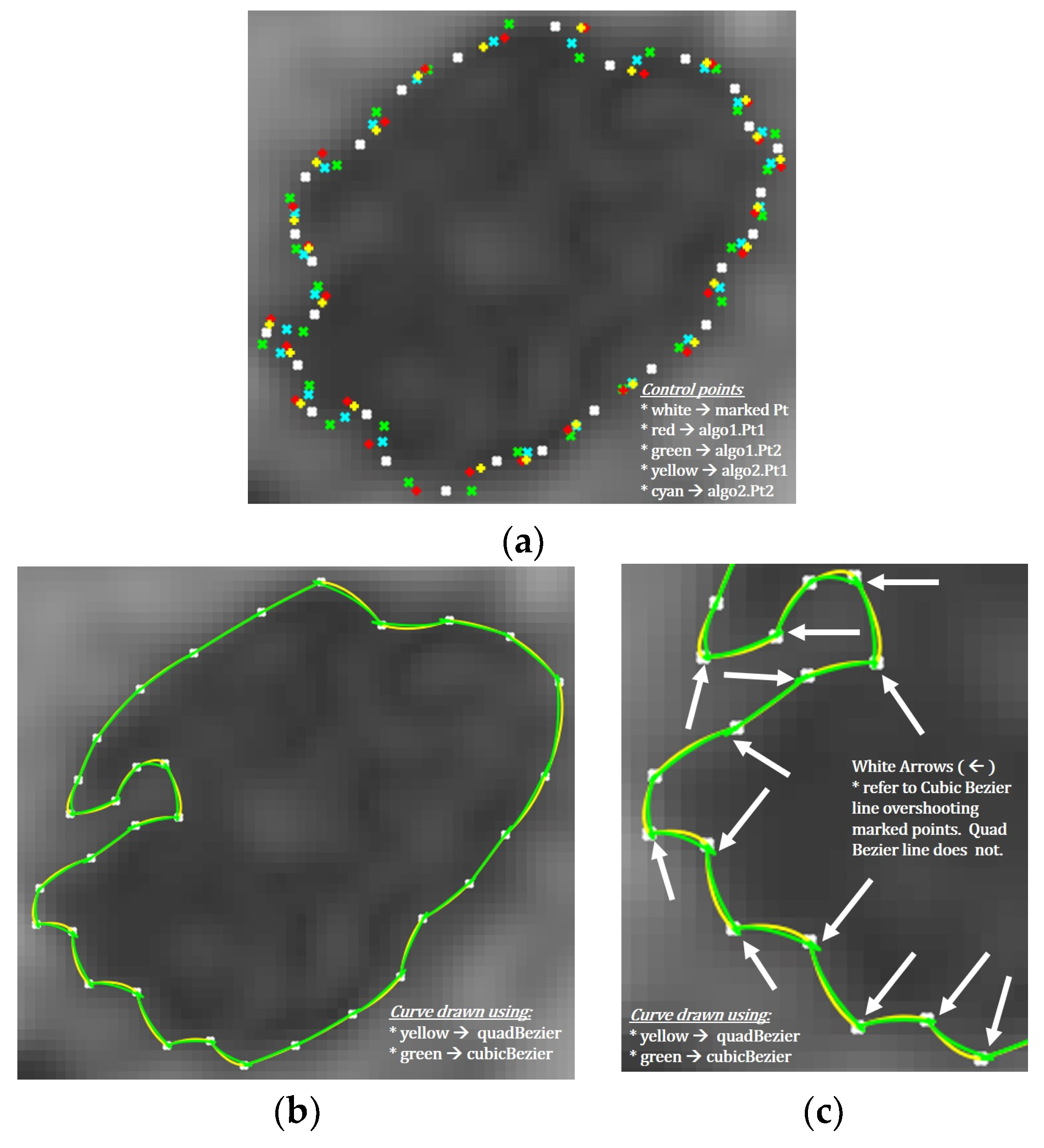 Diagnostics 10 01111 g006
