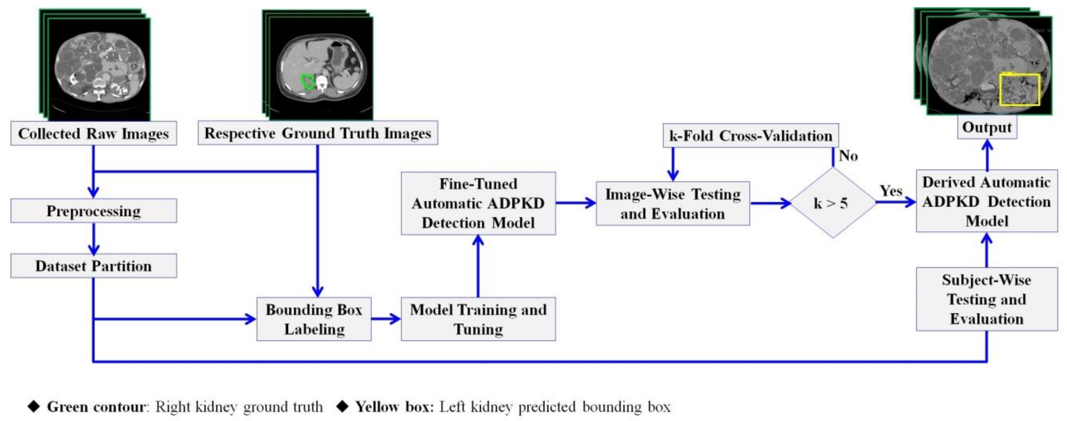 Diagnostics 10 01113 g003