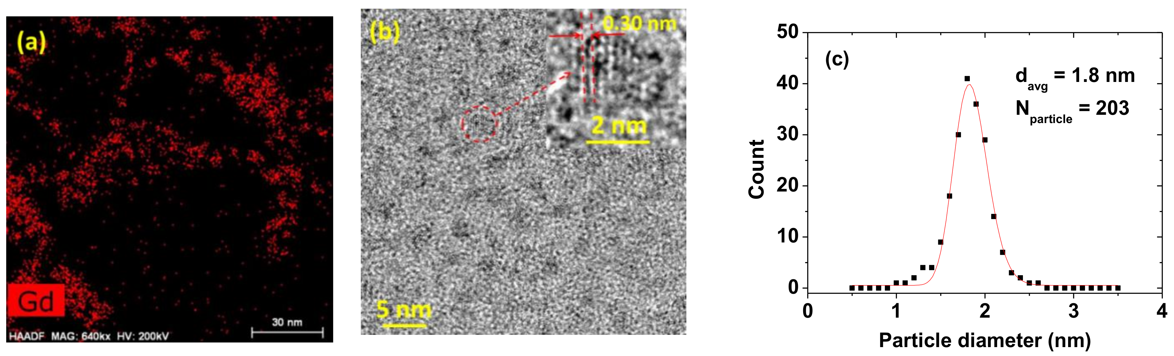 Diagnostics 11 00002 g002