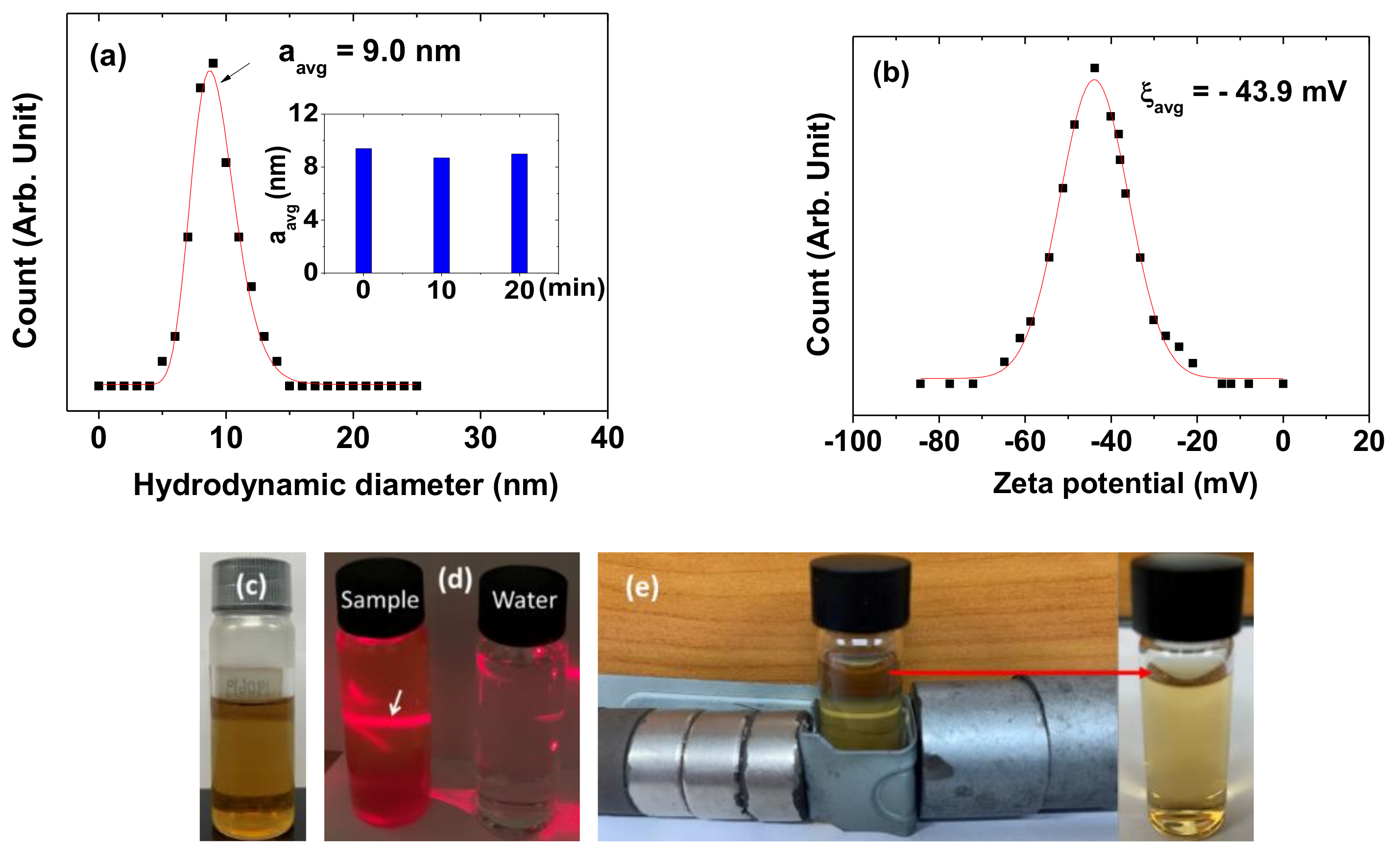 Diagnostics 11 00002 g003