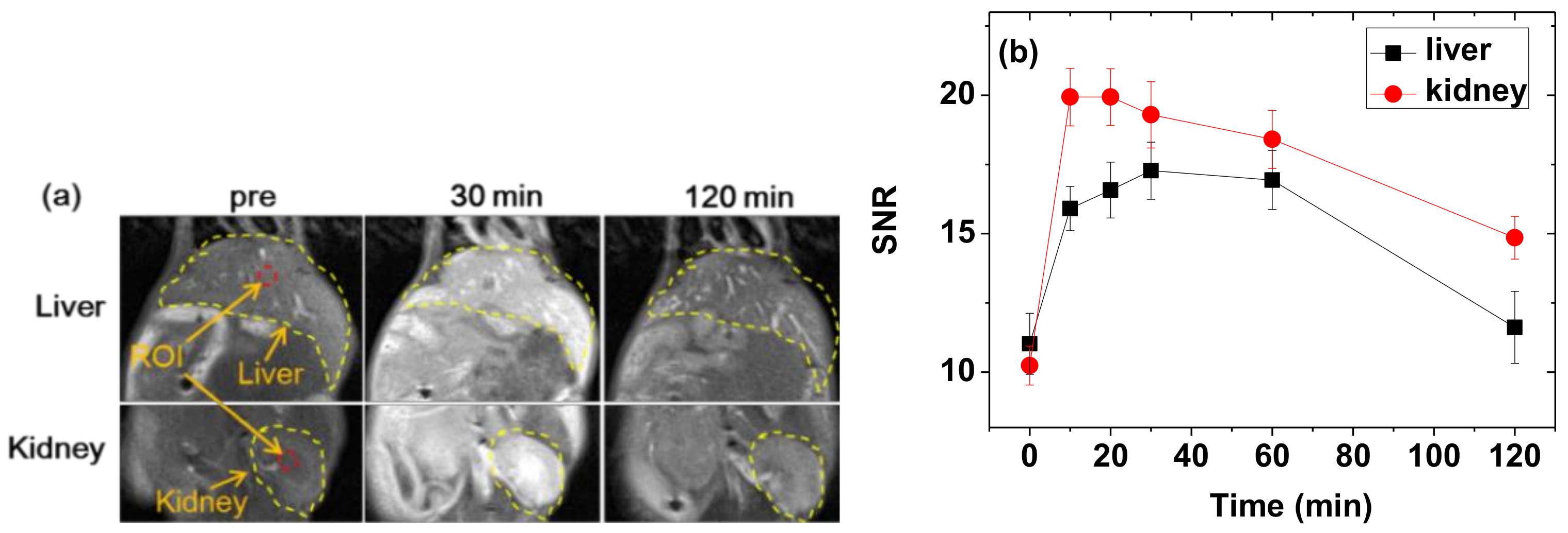 Diagnostics 11 00002 g010