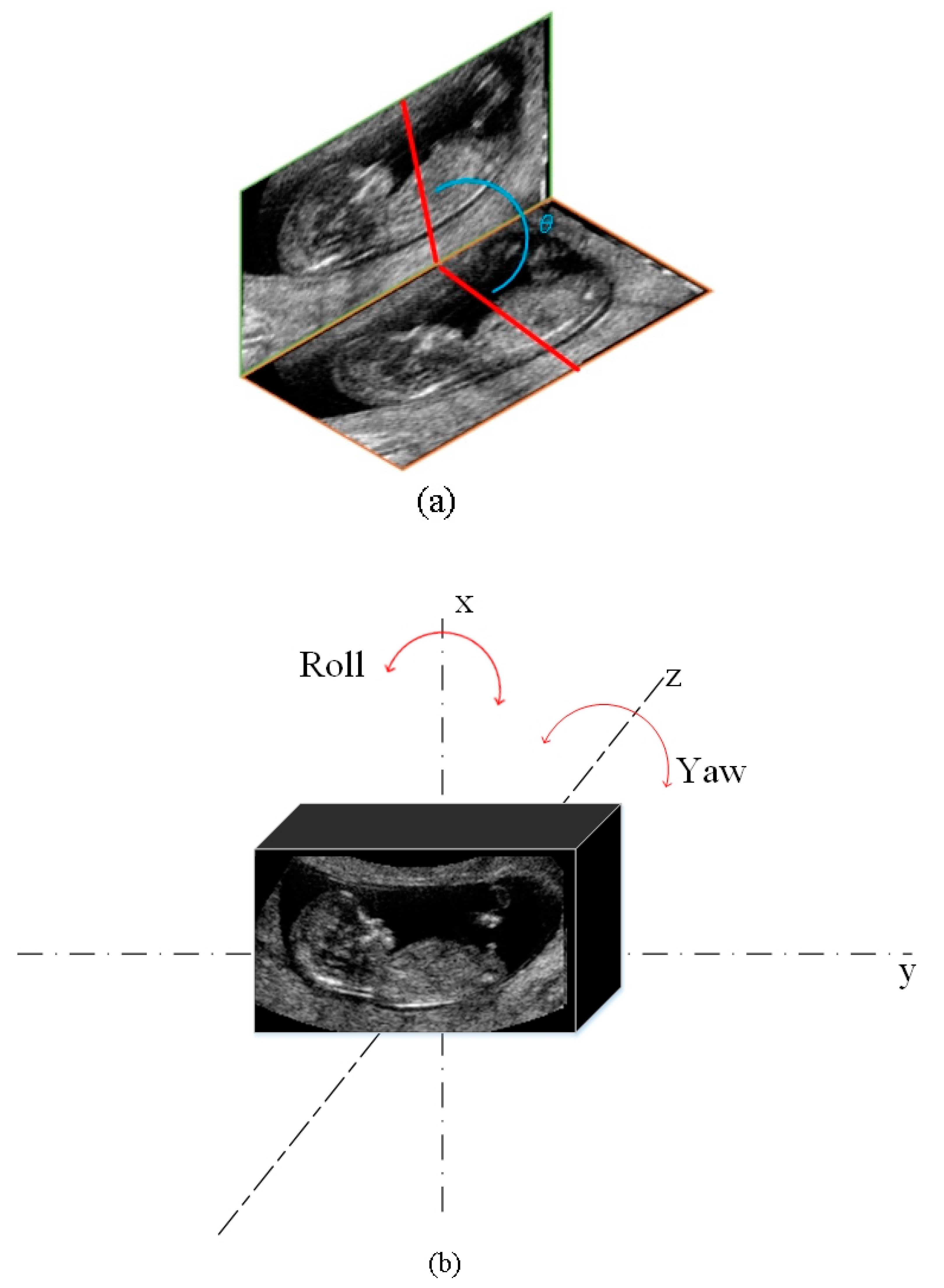 Diagnostics 11 00021 g009