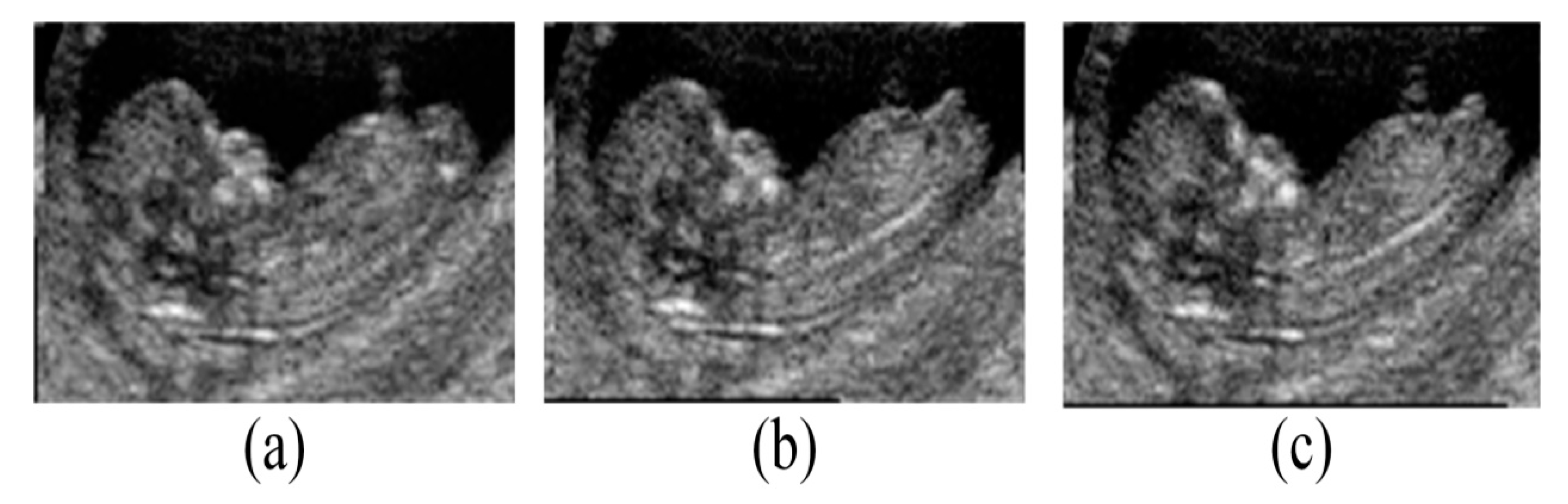 Diagnostics 11 00021 g010