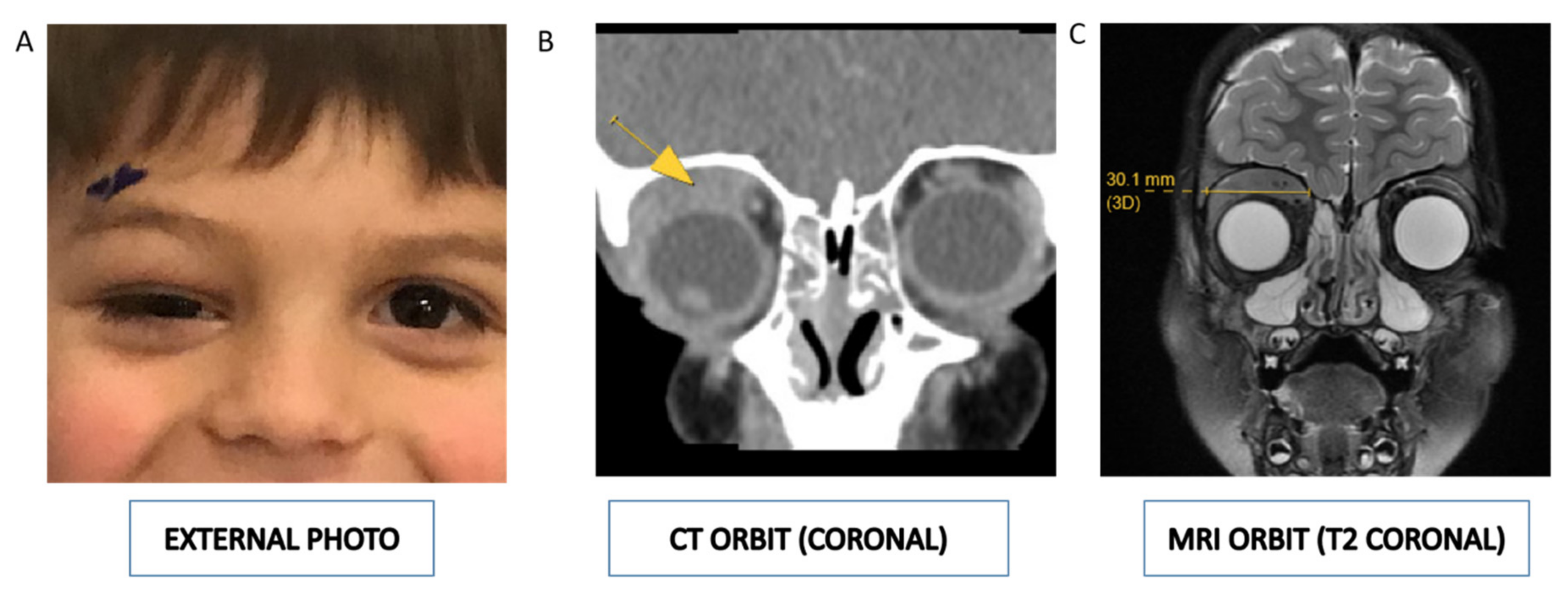 Diagnostics 11 00025 g001 Diagnostics 11 00025 g001