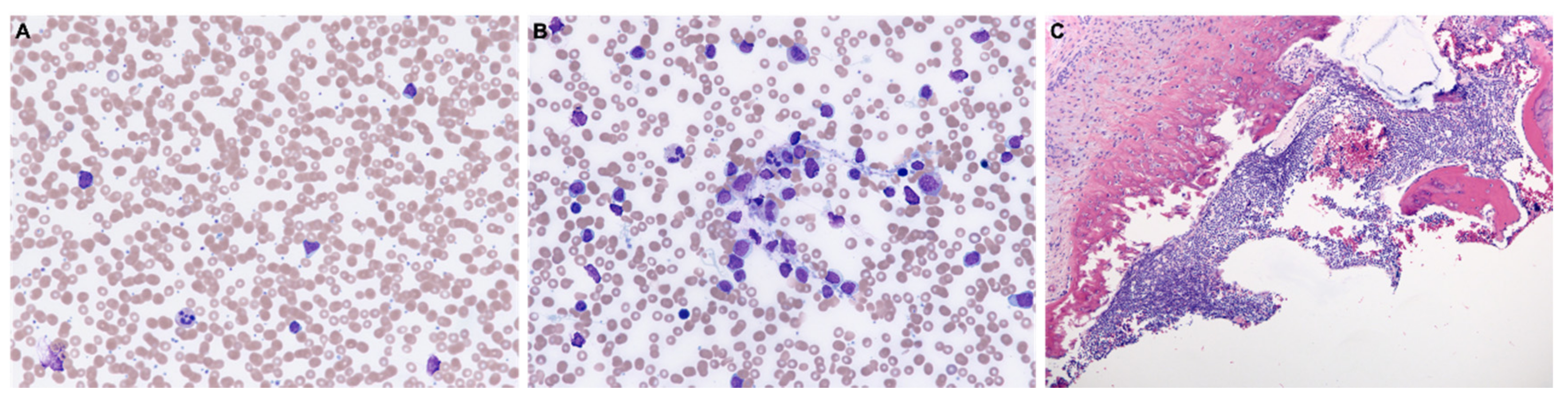 Diagnostics 11 00025 g003 Diagnostics 11 00025 g003