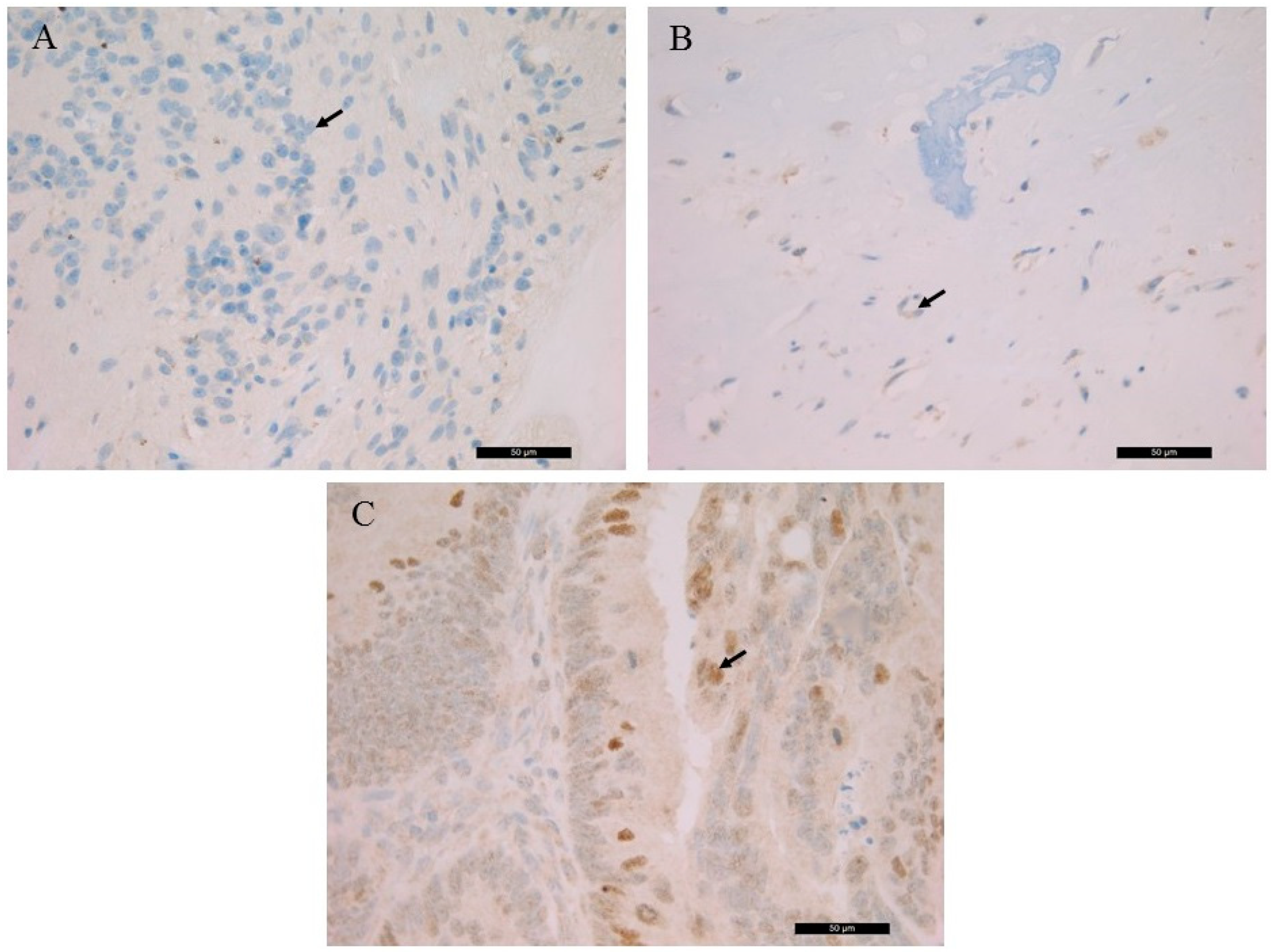 Diagnostics 11 00028 g002