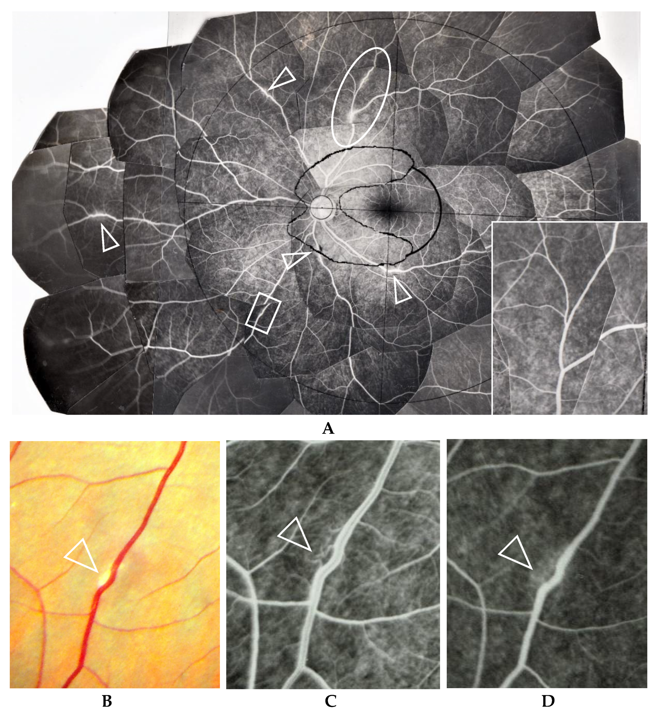 Diagnostics 11 00039 g004