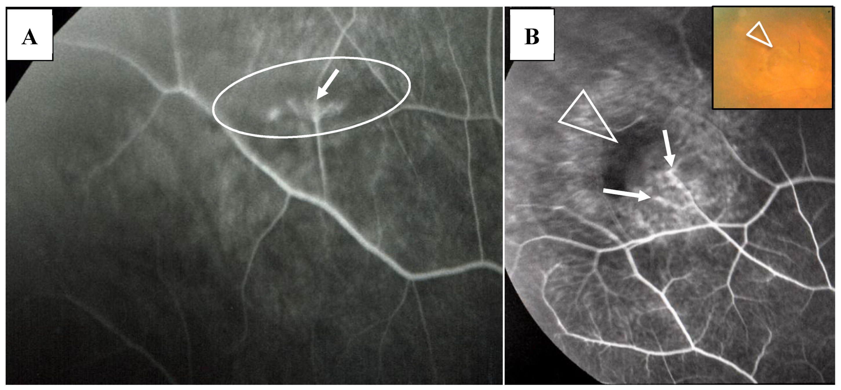 Diagnostics 11 00039 g009a