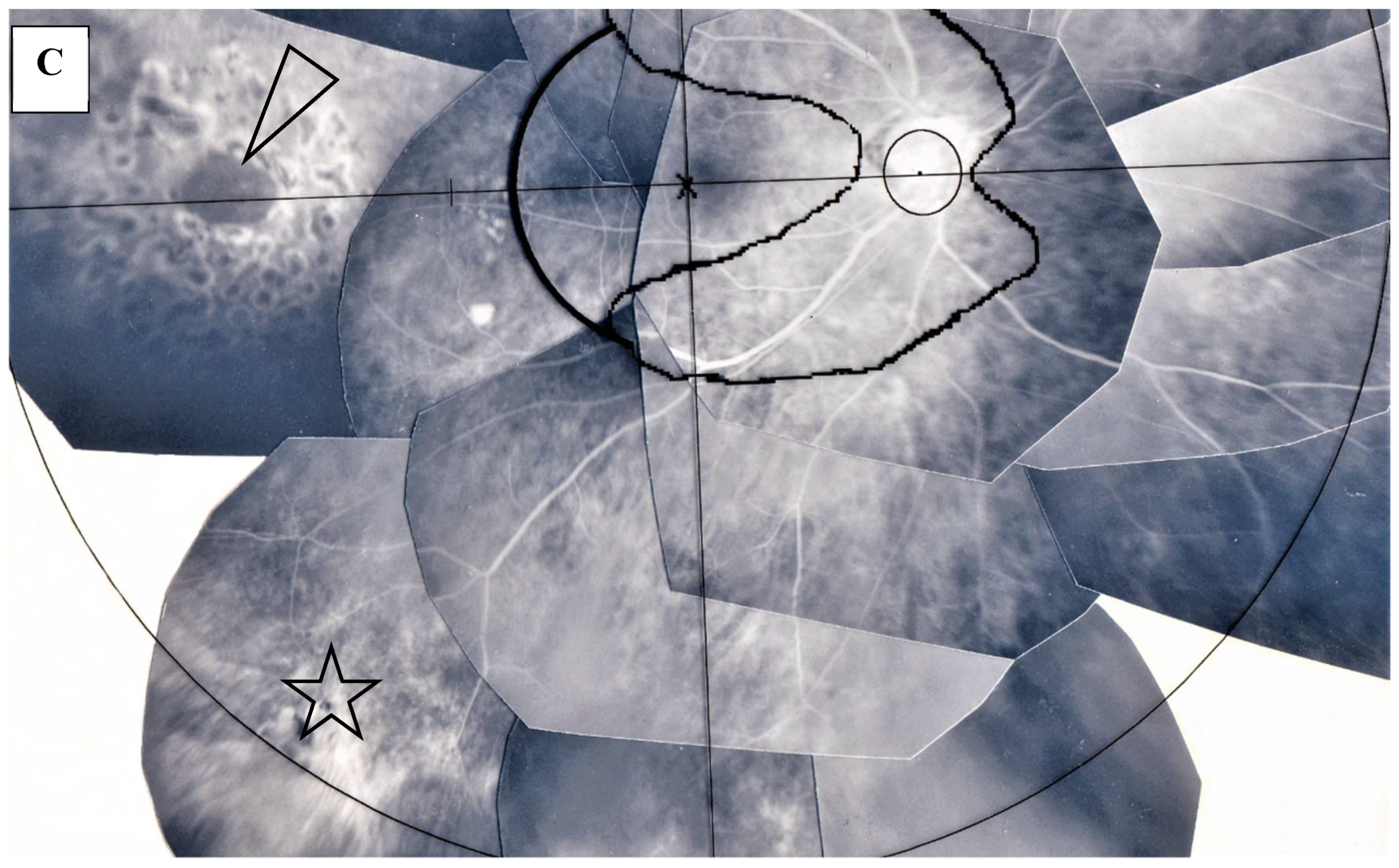 Diagnostics 11 00039 g009b