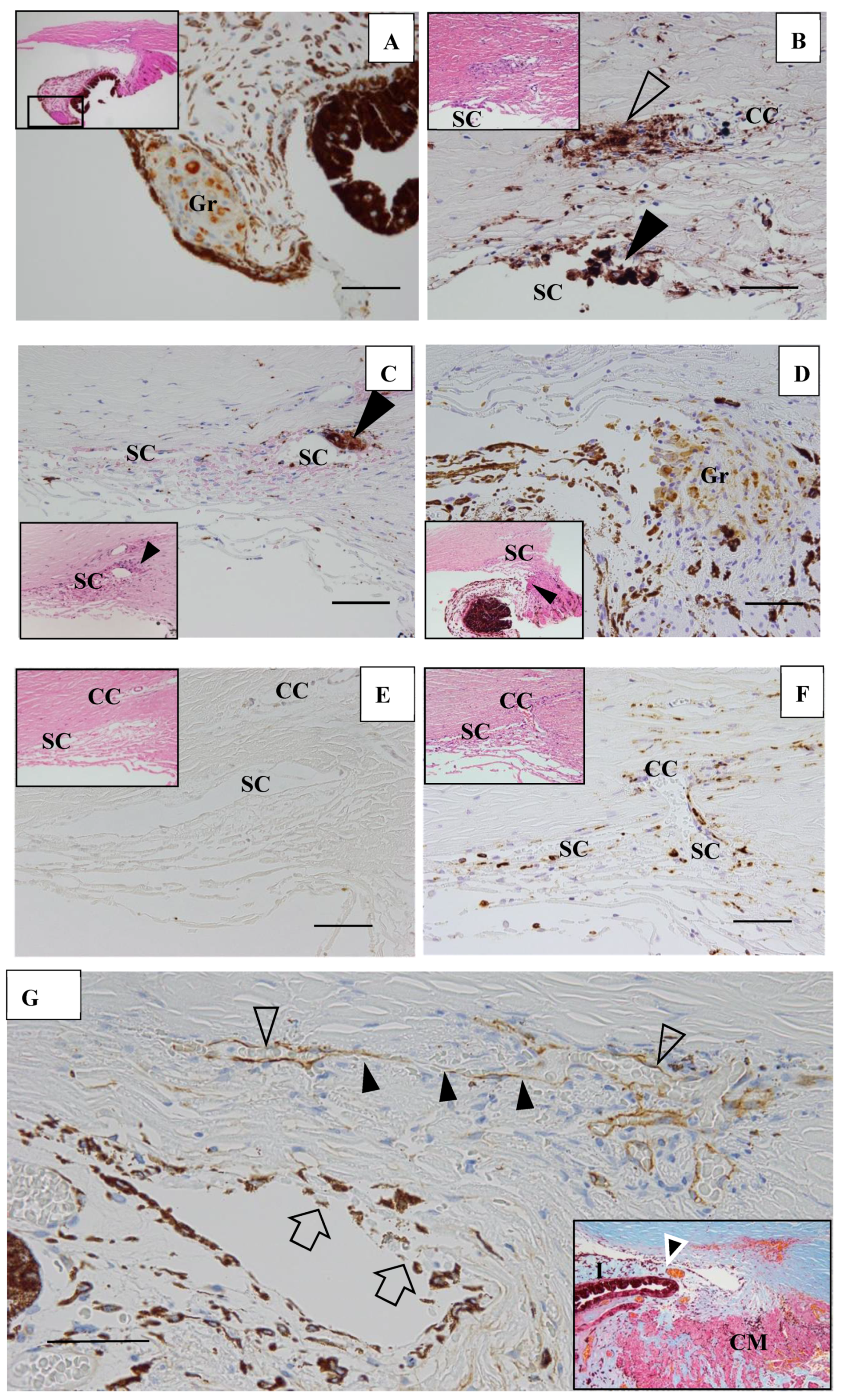 Diagnostics 11 00039 g016a