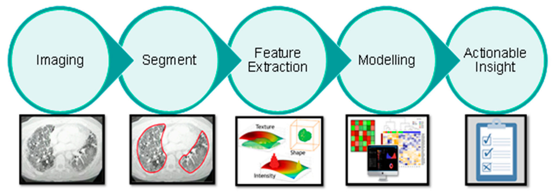 Diagnostics 11 00041 g001